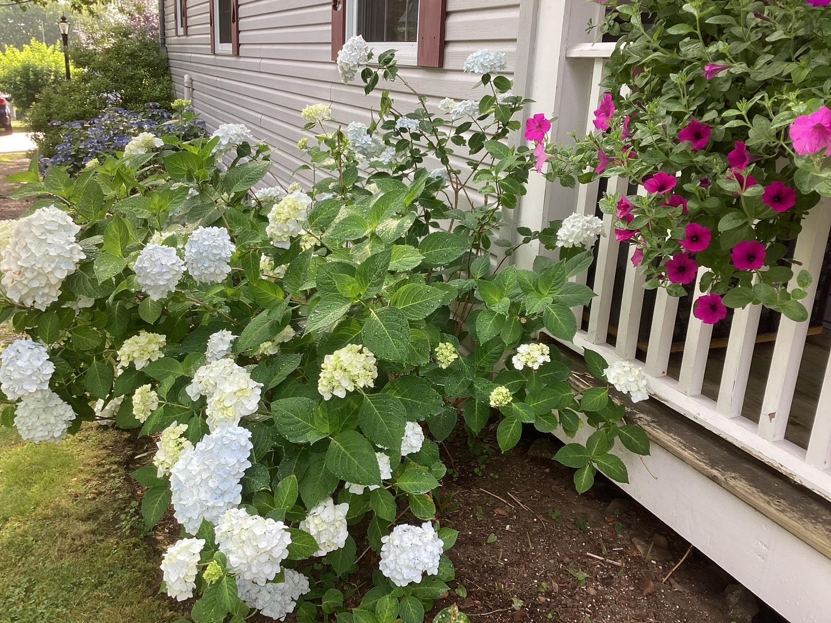 $559,900.00: 181 Central Street, Chester