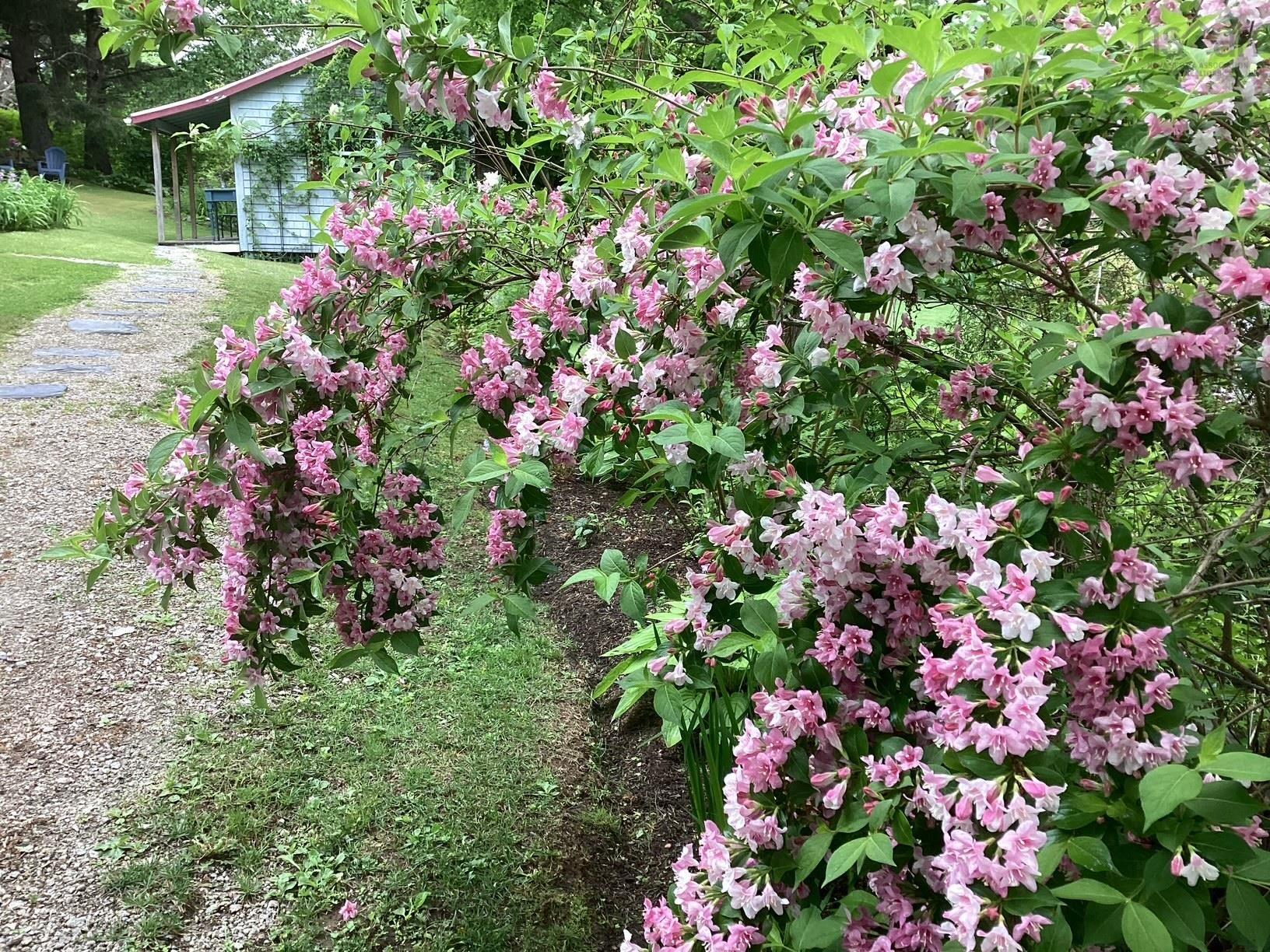 $559,900.00: 181 Central Street, Chester