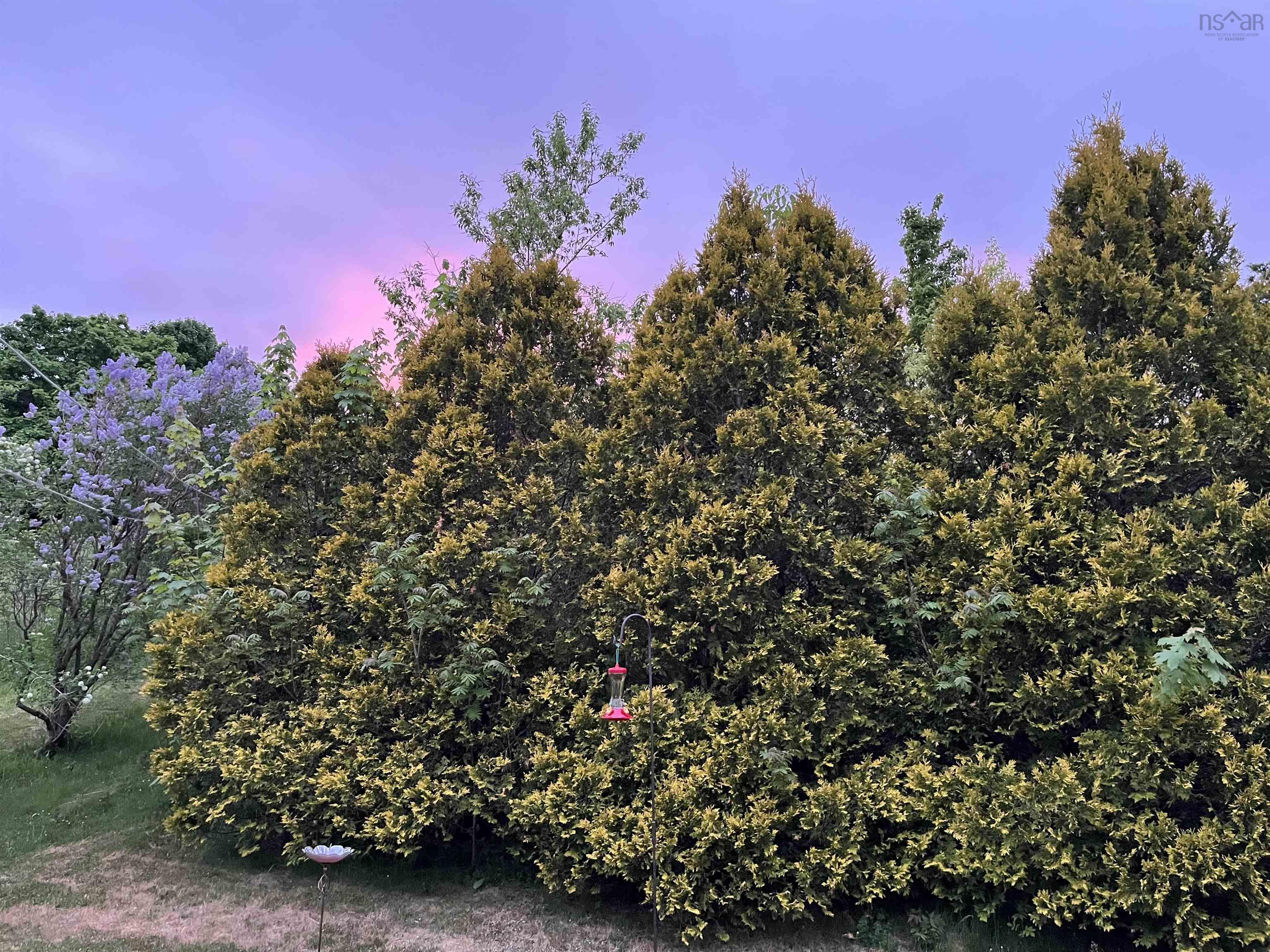 $298,000.00: 3189 Clementsvale Road, Clementsvale