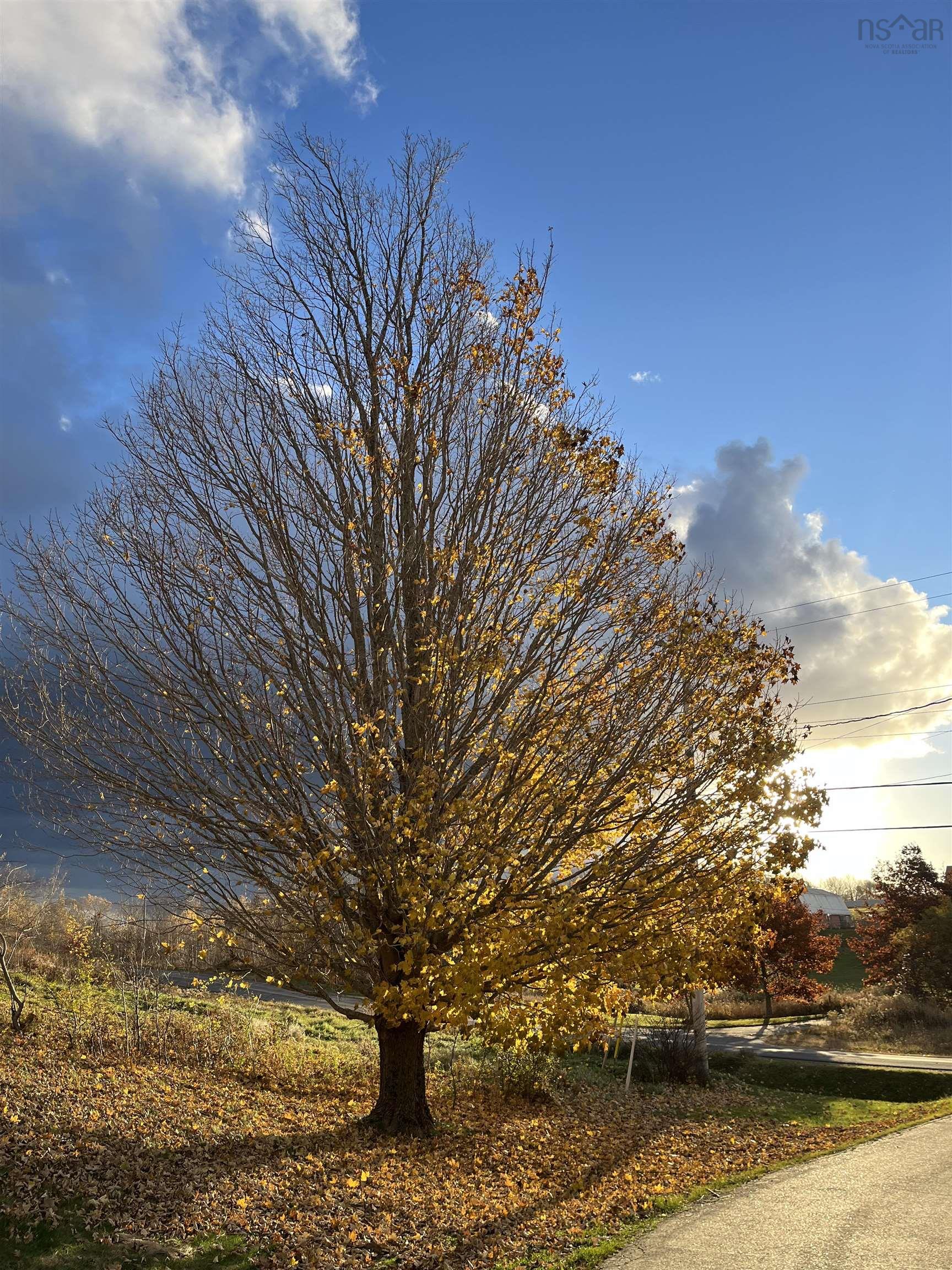 $298,000.00: 3189 Clementsvale Road, Clementsvale