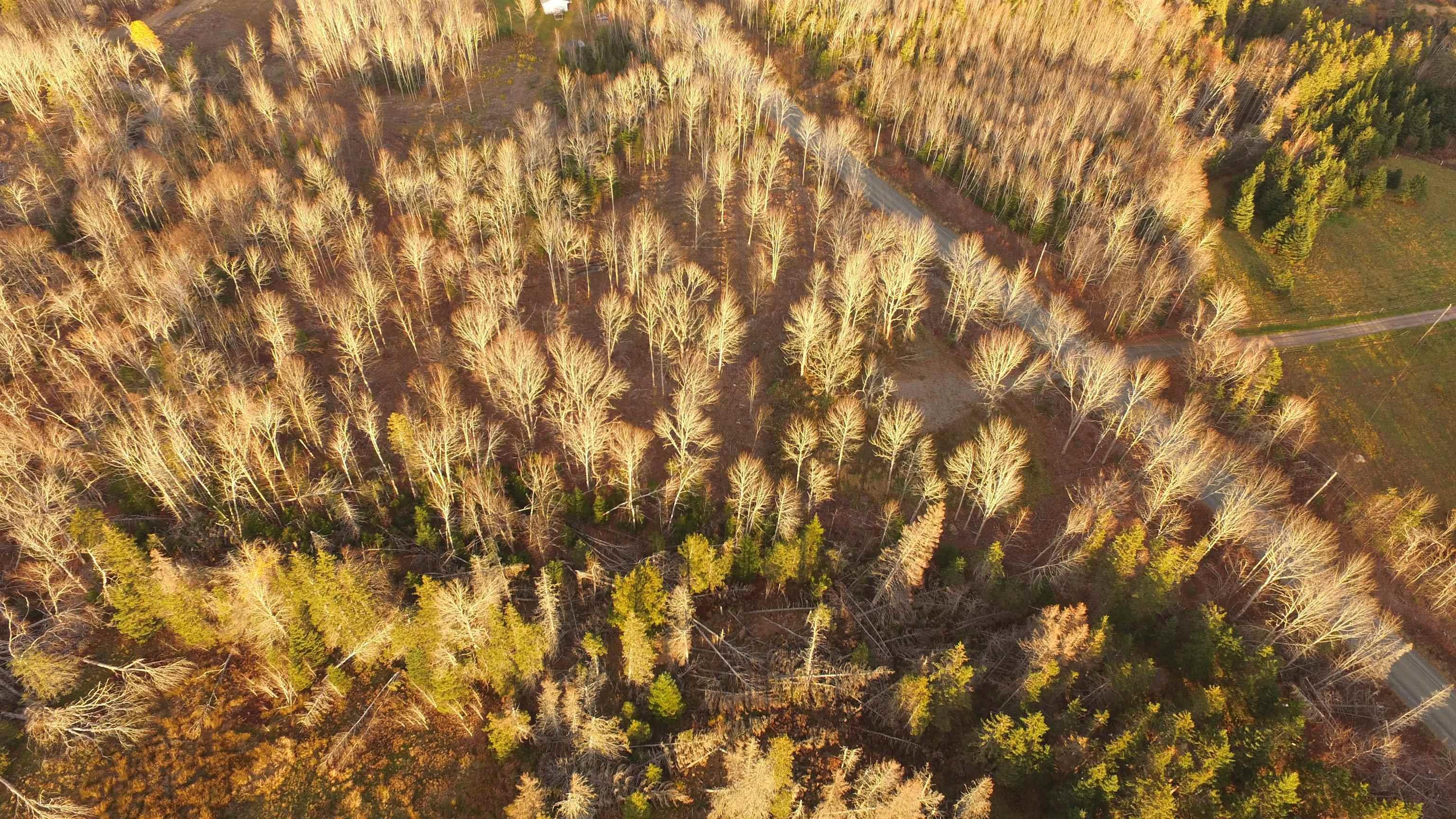 $64,500.00: Brookland Road, Brookland