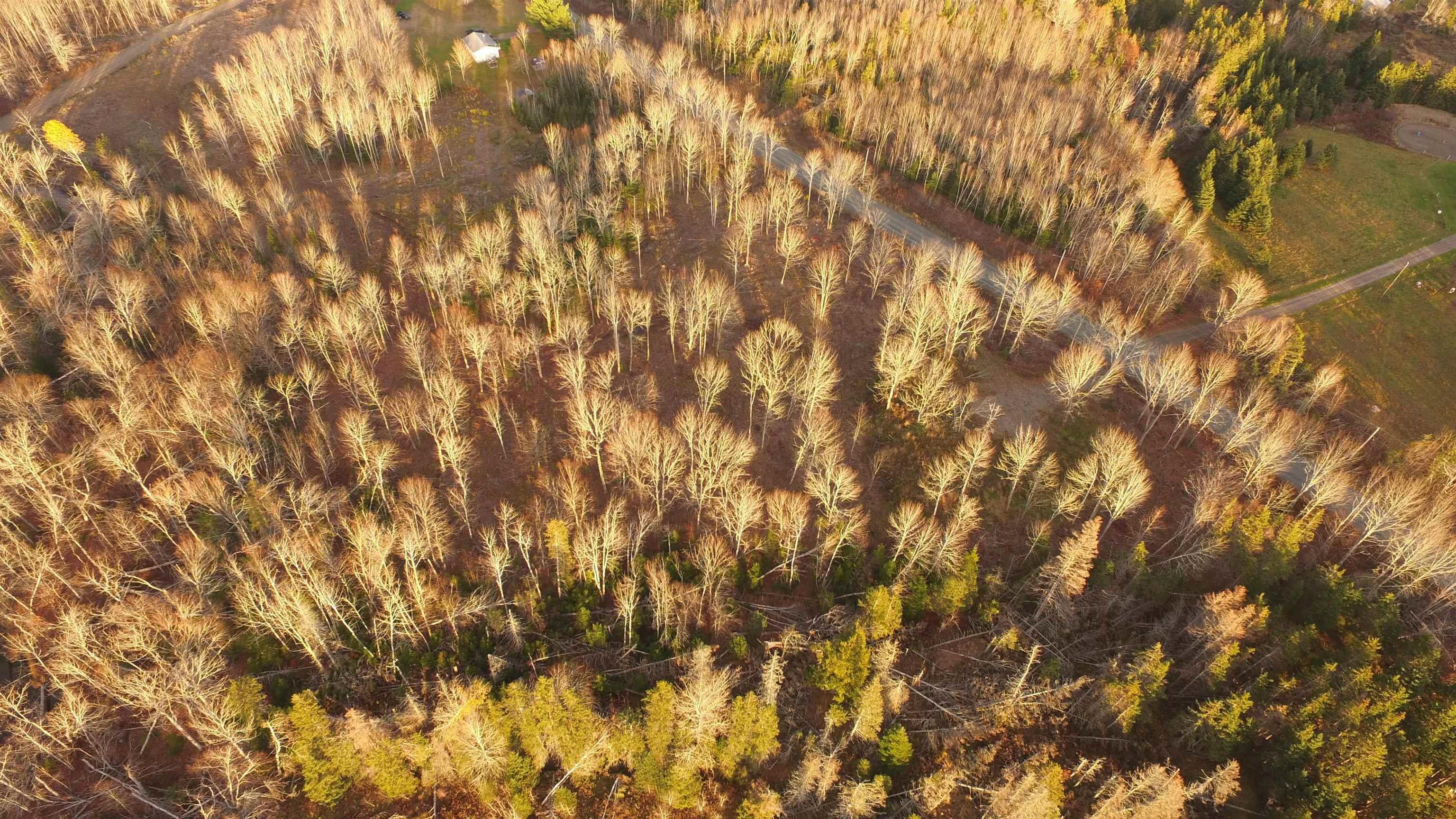 $64,500.00: Brookland Road, Brookland