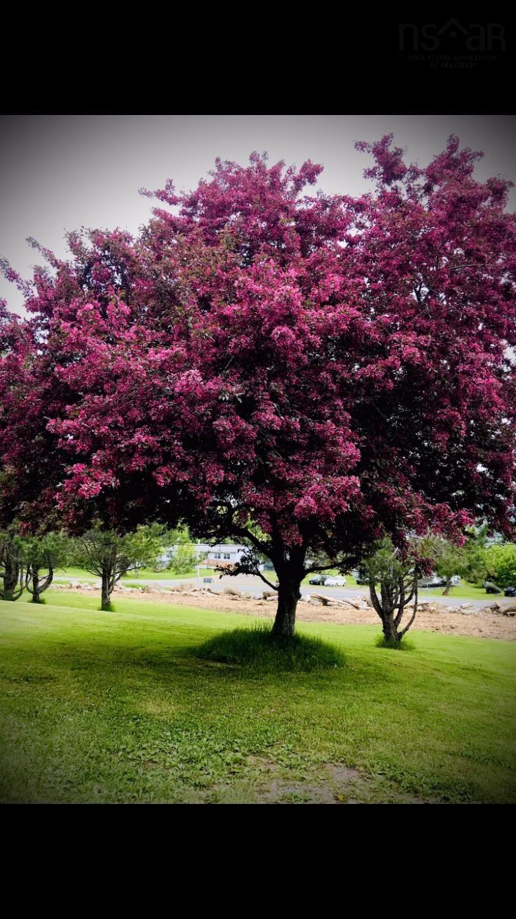 $289,900.00: 13844 NS-4, Aulds Cove