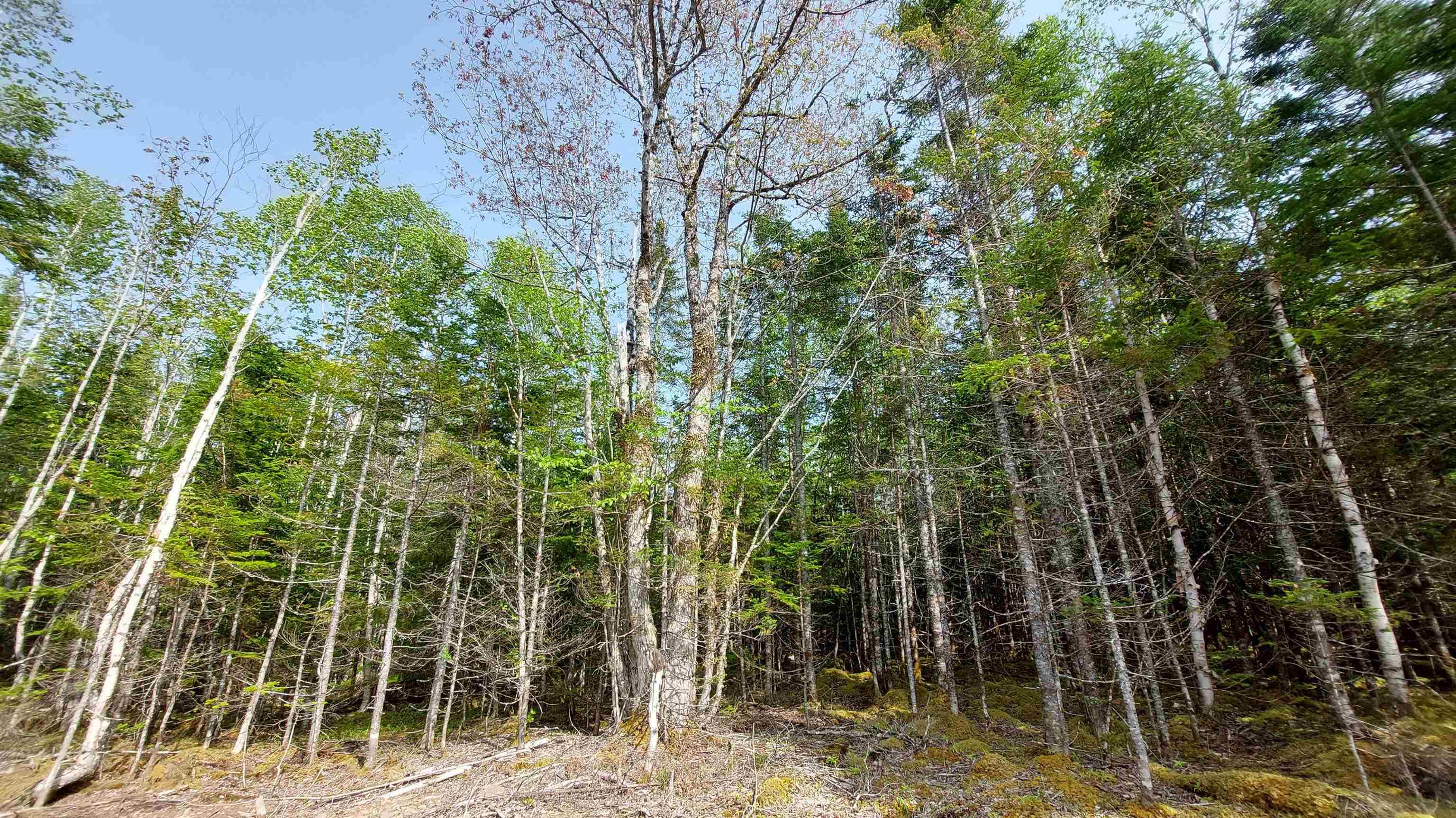 $94,000.00: Lot 4 Highway 4, False Bay