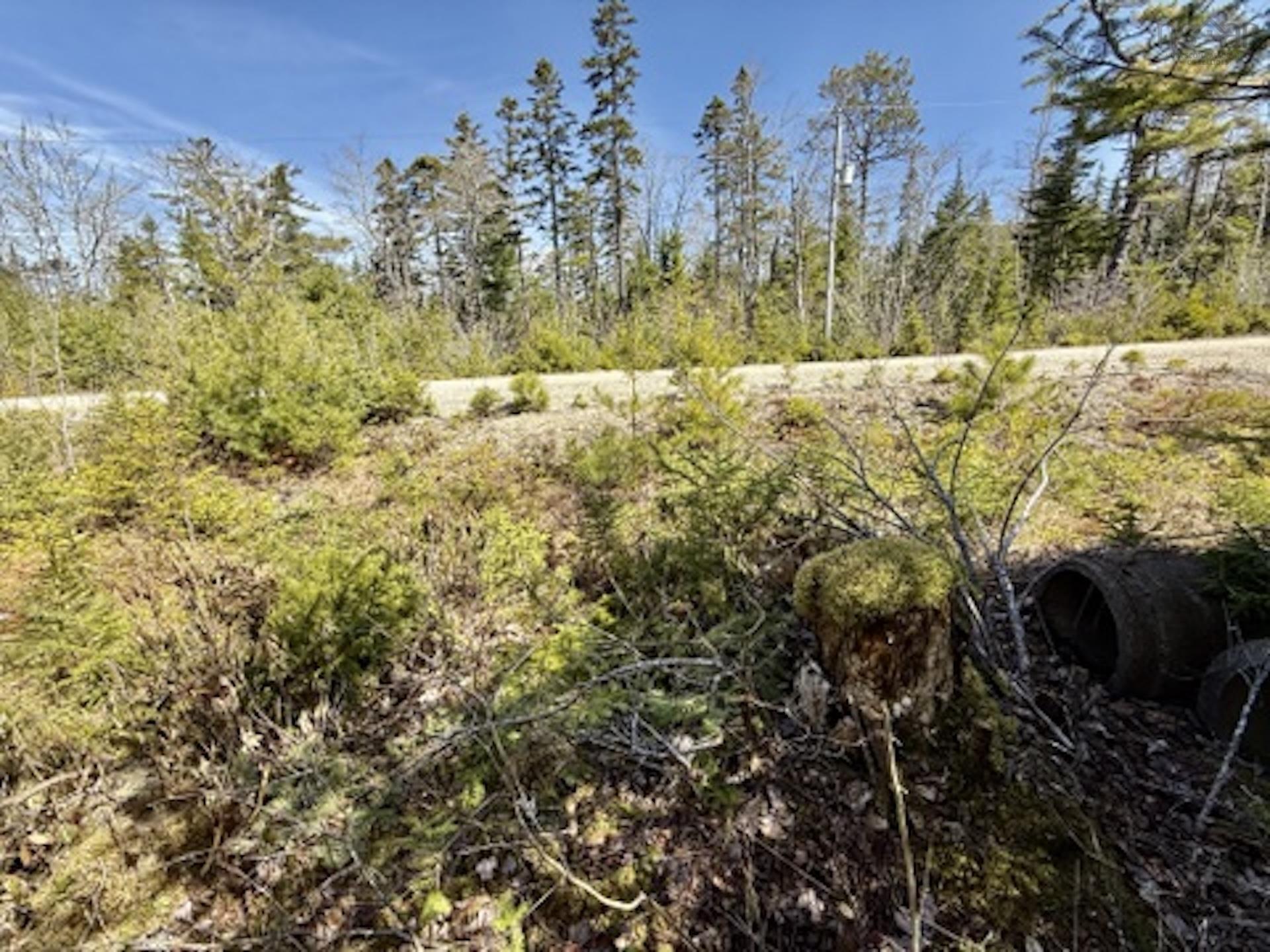 $57,500.00: Lot 32 Dynasty Court, Sherwood