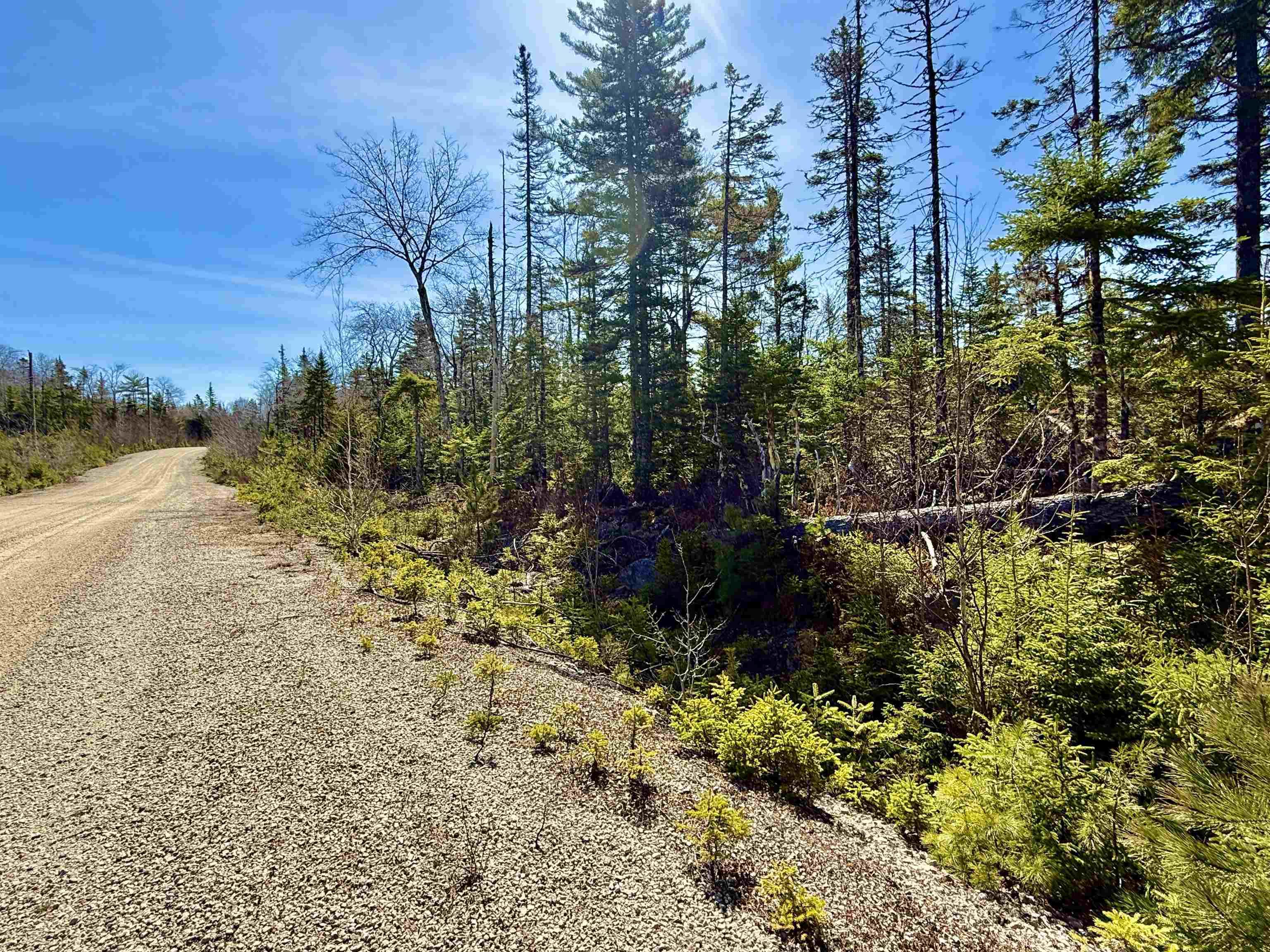 $57,500.00: Lot 32 Dynasty Court, Sherwood