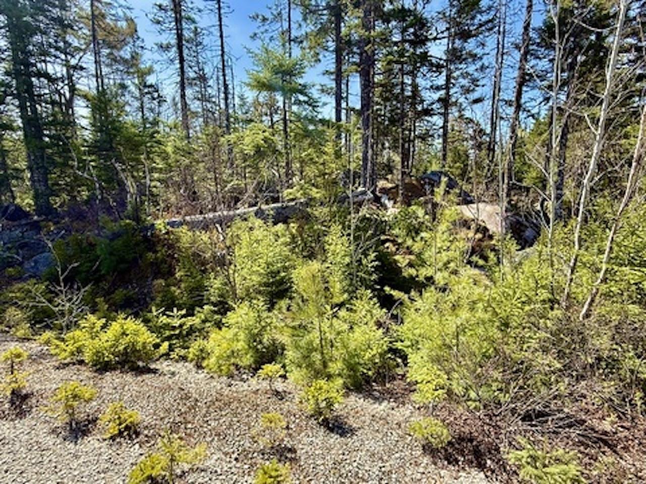 $57,500.00: Lot 32 Dynasty Court, Sherwood