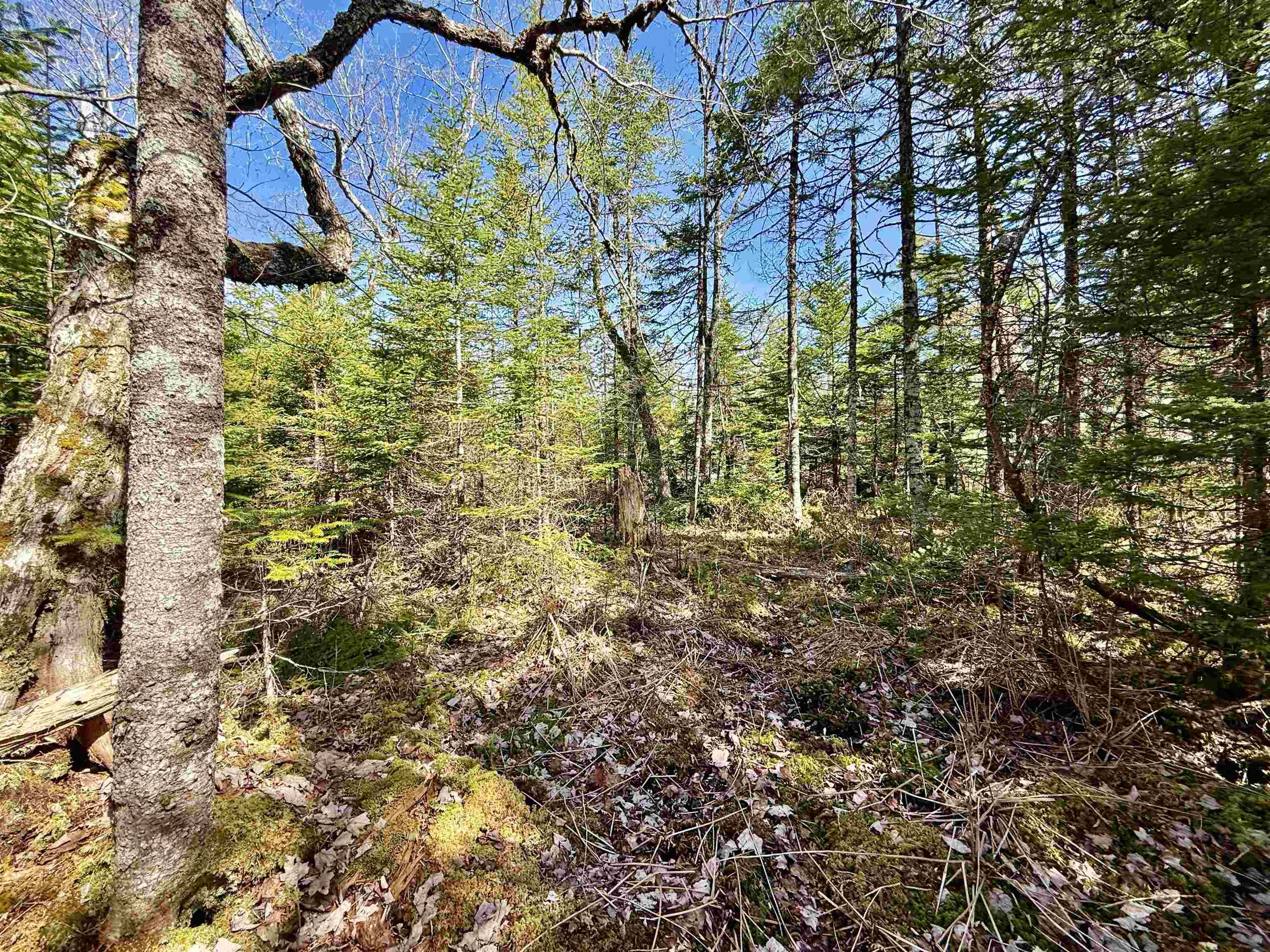 $57,500.00: Lot 32 Dynasty Court, Sherwood