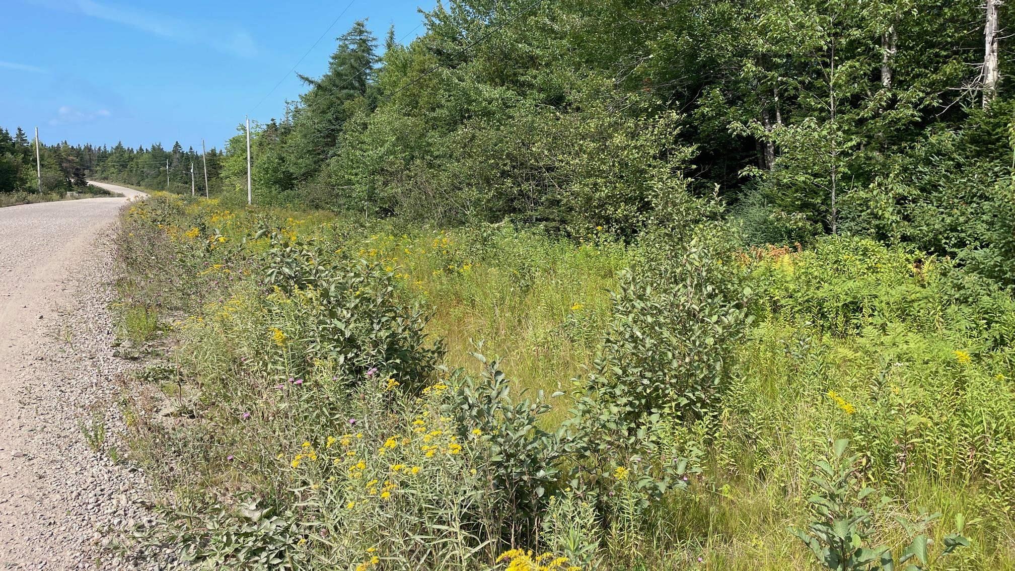 $34,900.00: Grand Goulet Road, River Tillard