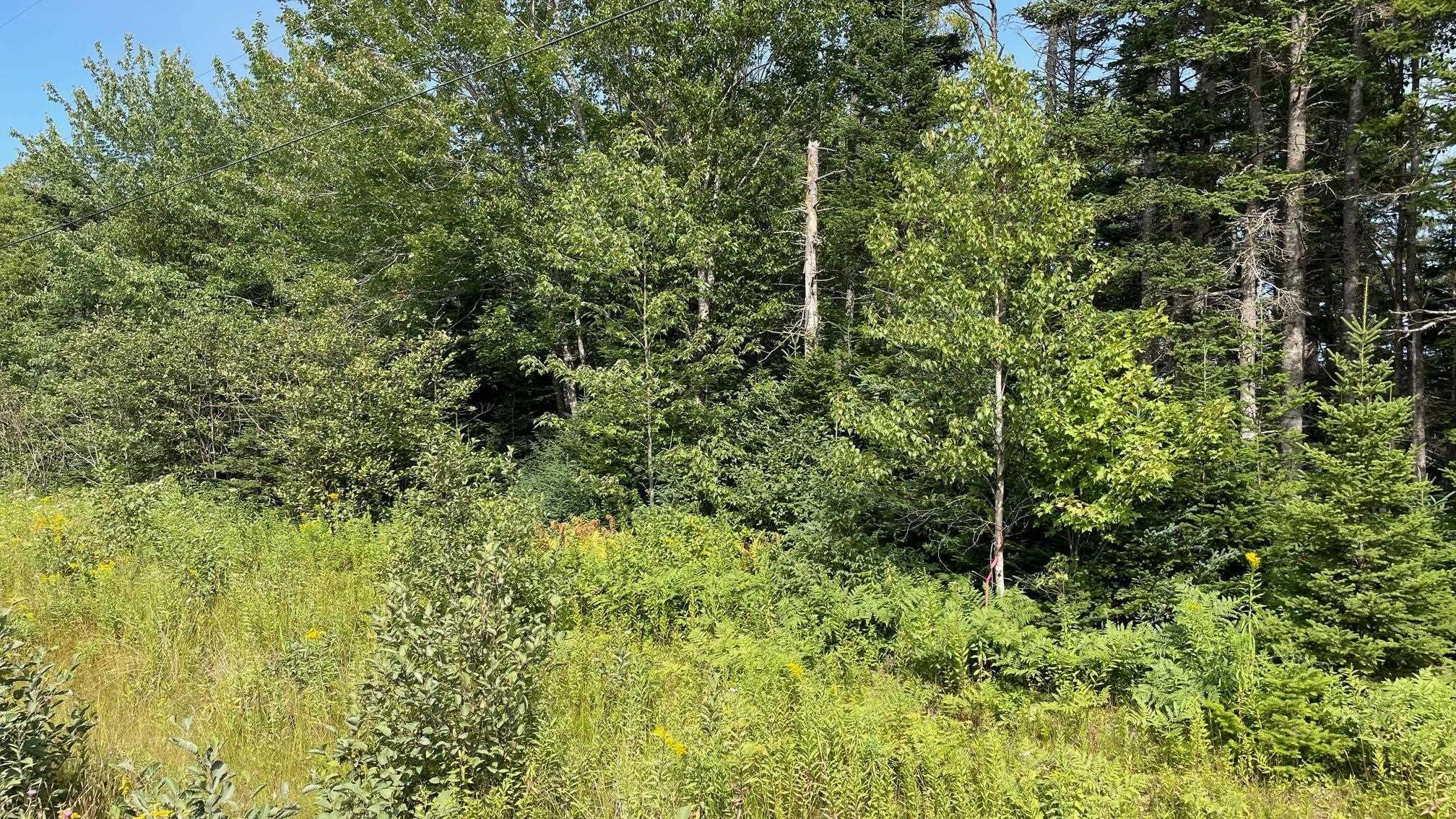 $34,900.00: Grand Goulet Road, River Tillard