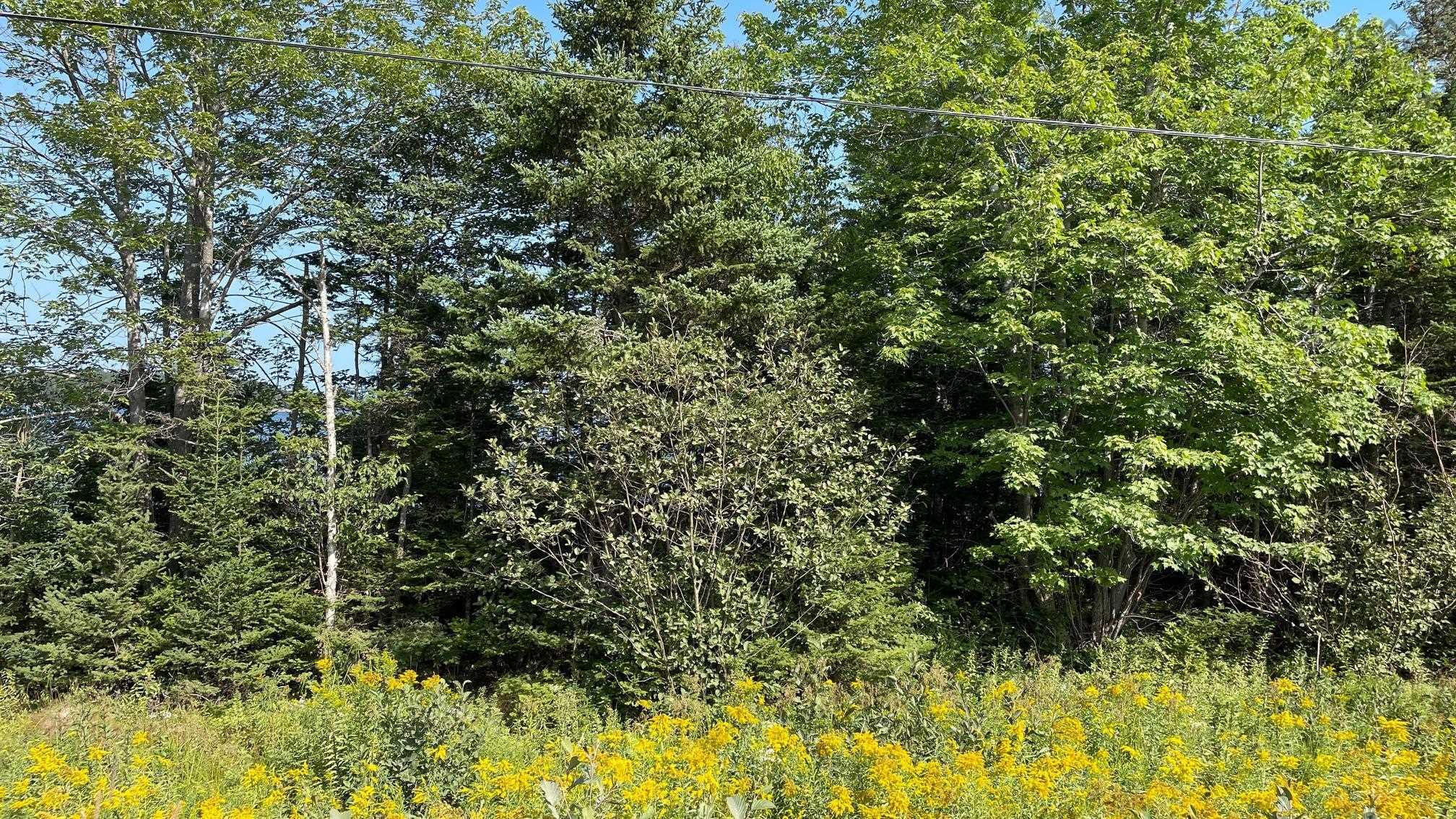 $34,900.00: Grand Goulet Road, River Tillard