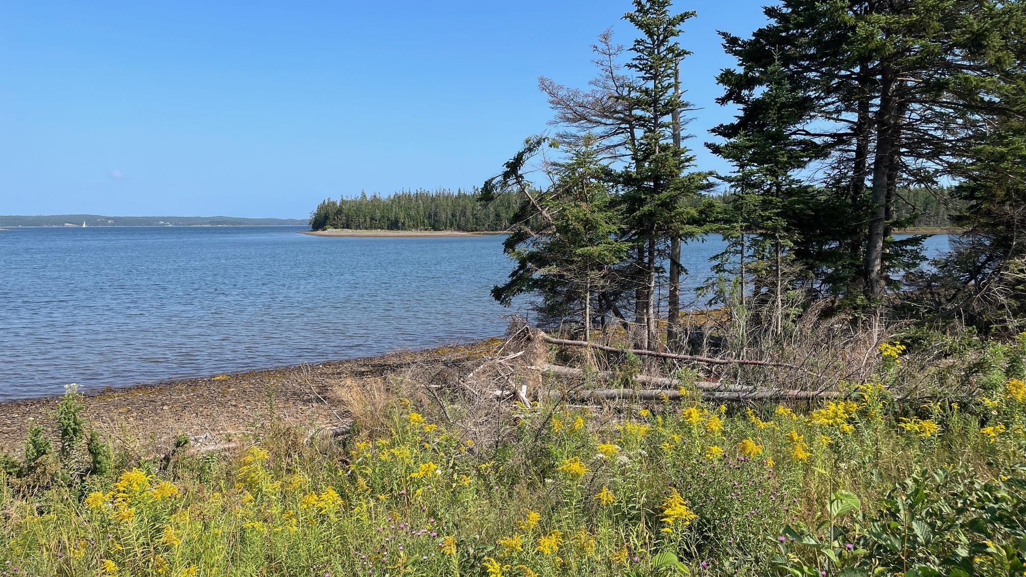 $34,900.00: Grand Goulet Road, River Tillard