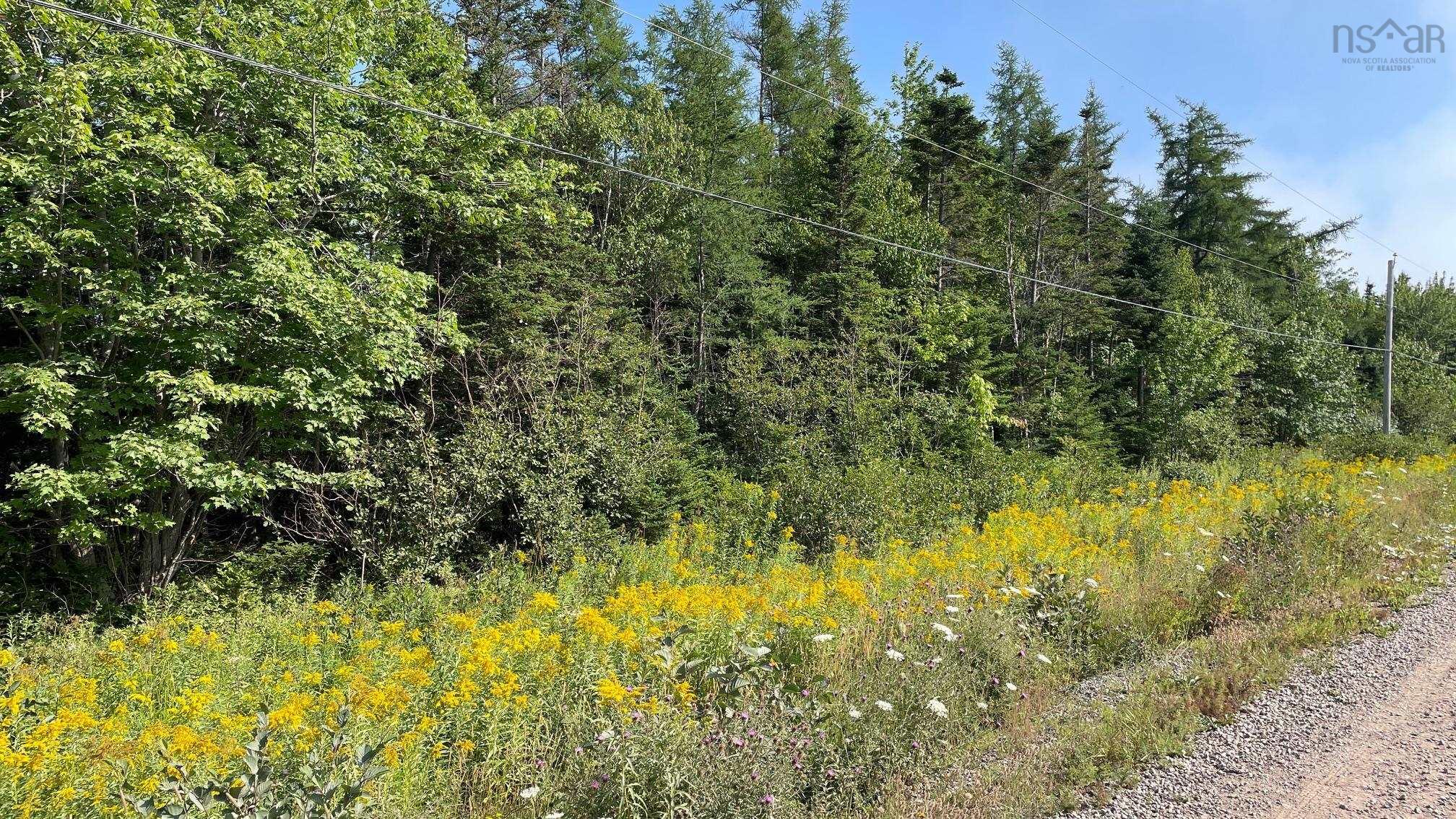 $34,900.00: Grand Goulet Road, River Tillard