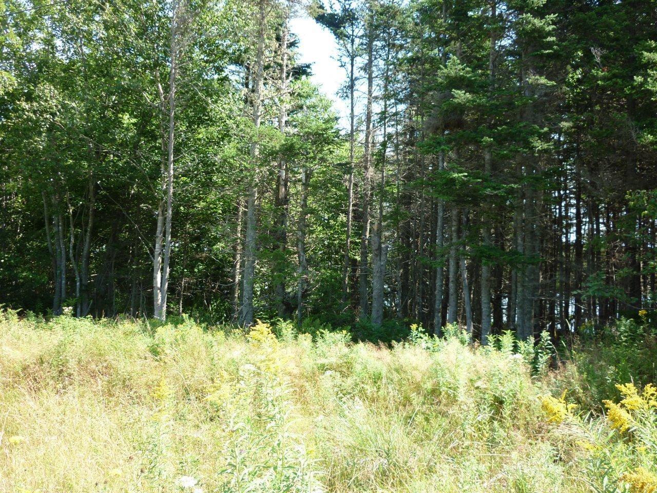 $34,900.00: Grand Goulet Road, River Tillard