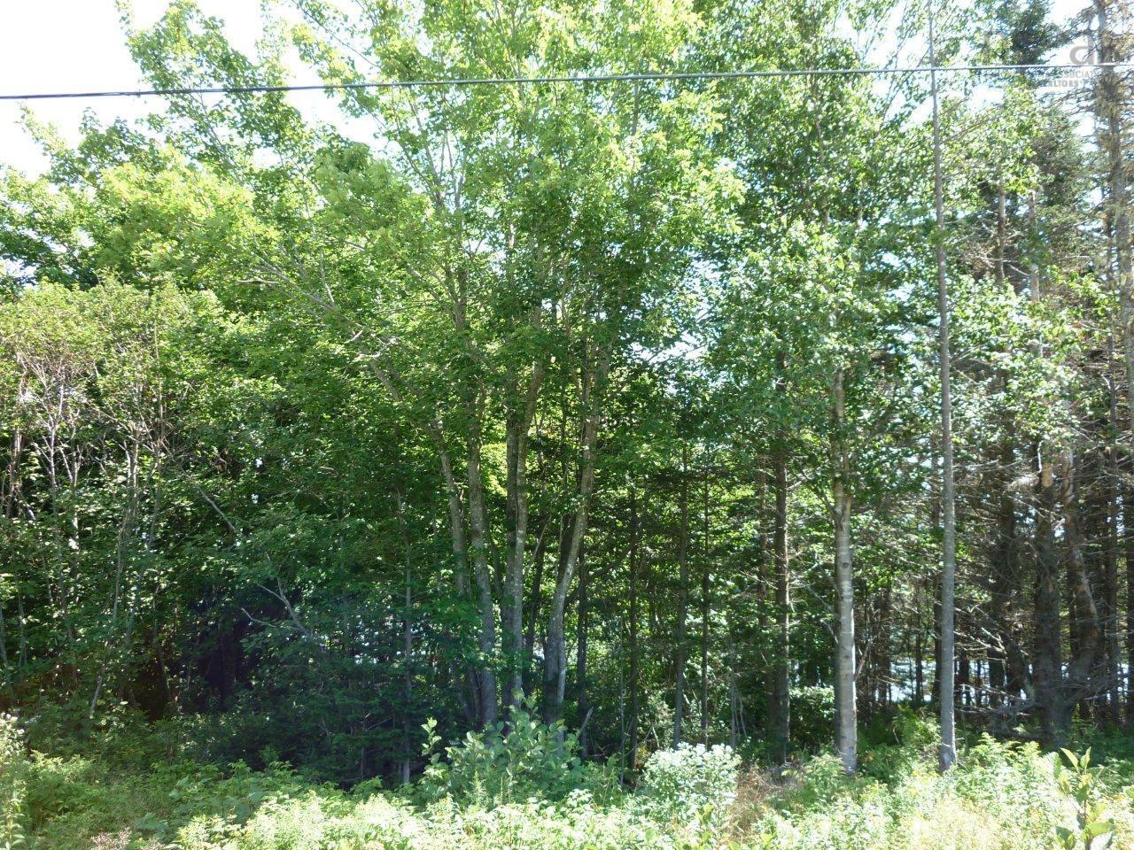 $34,900.00: Grand Goulet Road, River Tillard