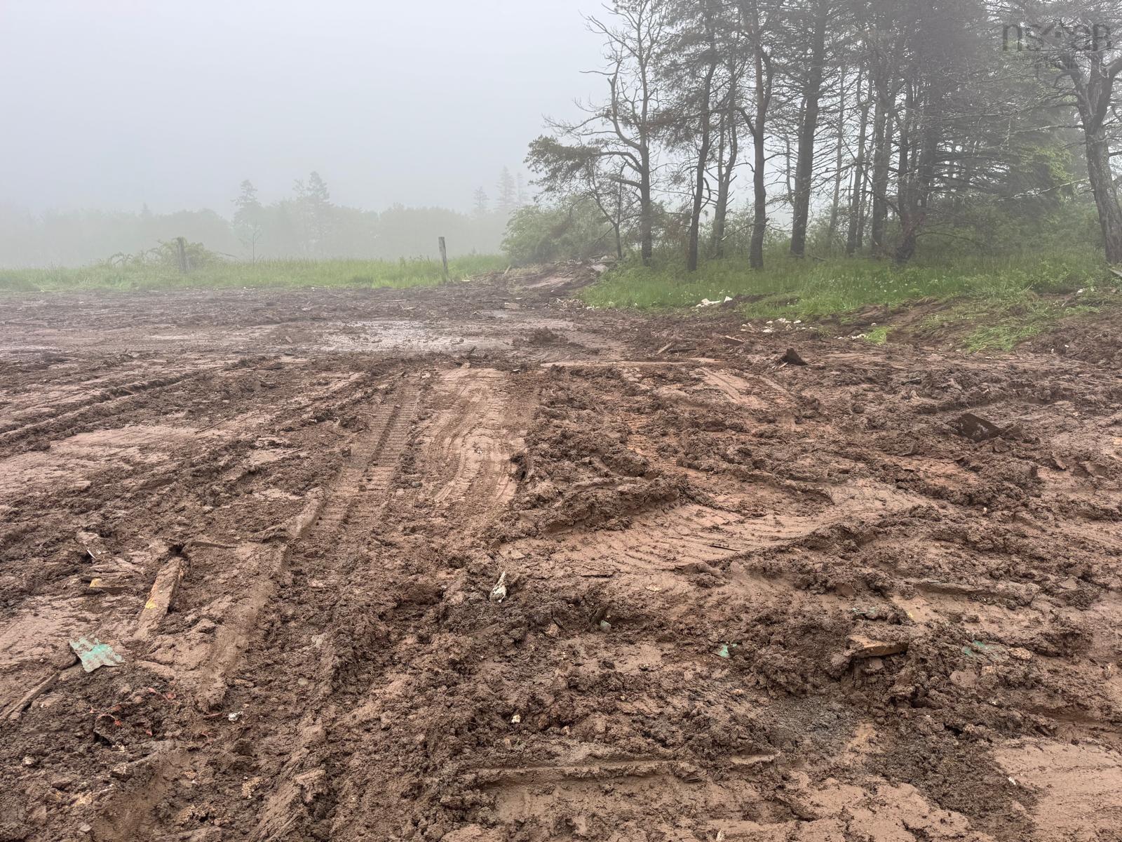 36 Brunt Road, Harrietsfield, NS (MLS 202601078)