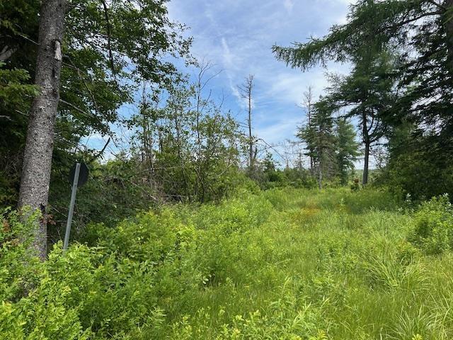 $35,000.00: MacLeod Settlement Road, Upper Southwest Mabou