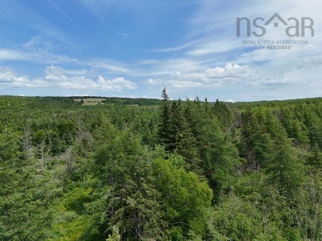 $35,000.00: MacLeod Settlement Road, Upper Southwest Mabou