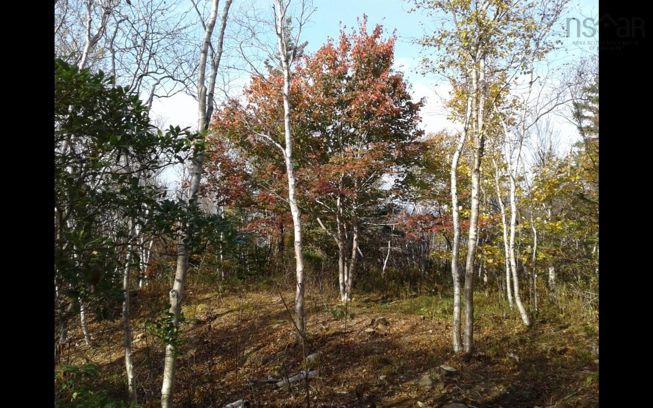 $177,700.00: Lot Shore Road, Litchfield