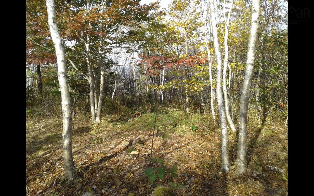 $177,700.00: Lot Shore Road, Litchfield