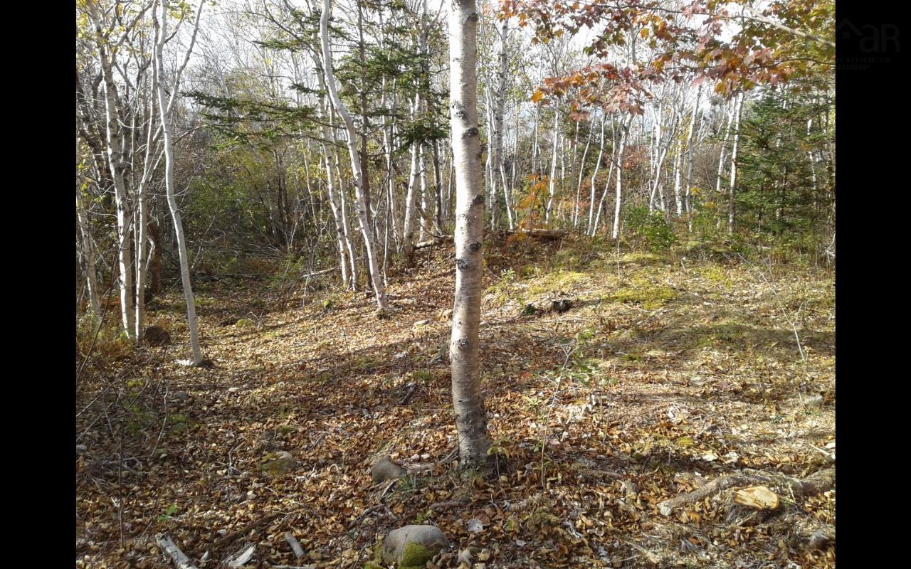 $177,700.00: Lot Shore Road, Litchfield