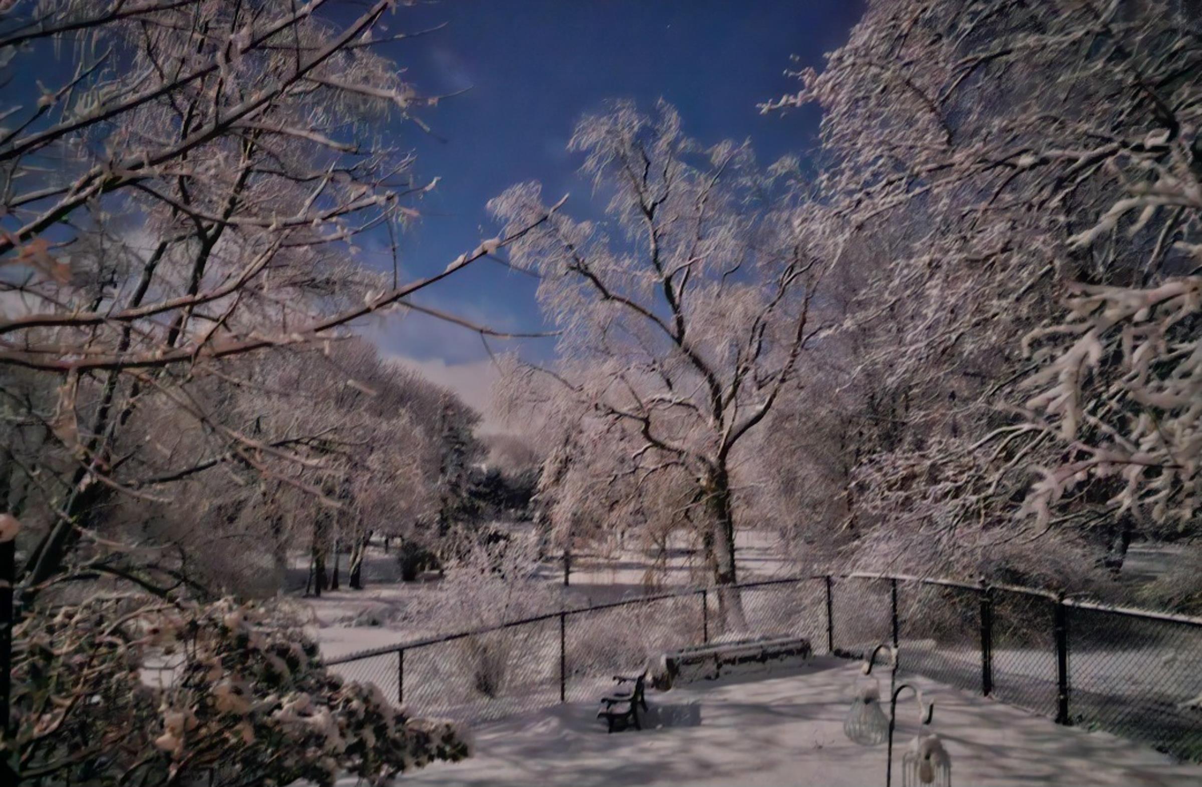 $379,900.00: 3 Reagh Avenue, Middleton