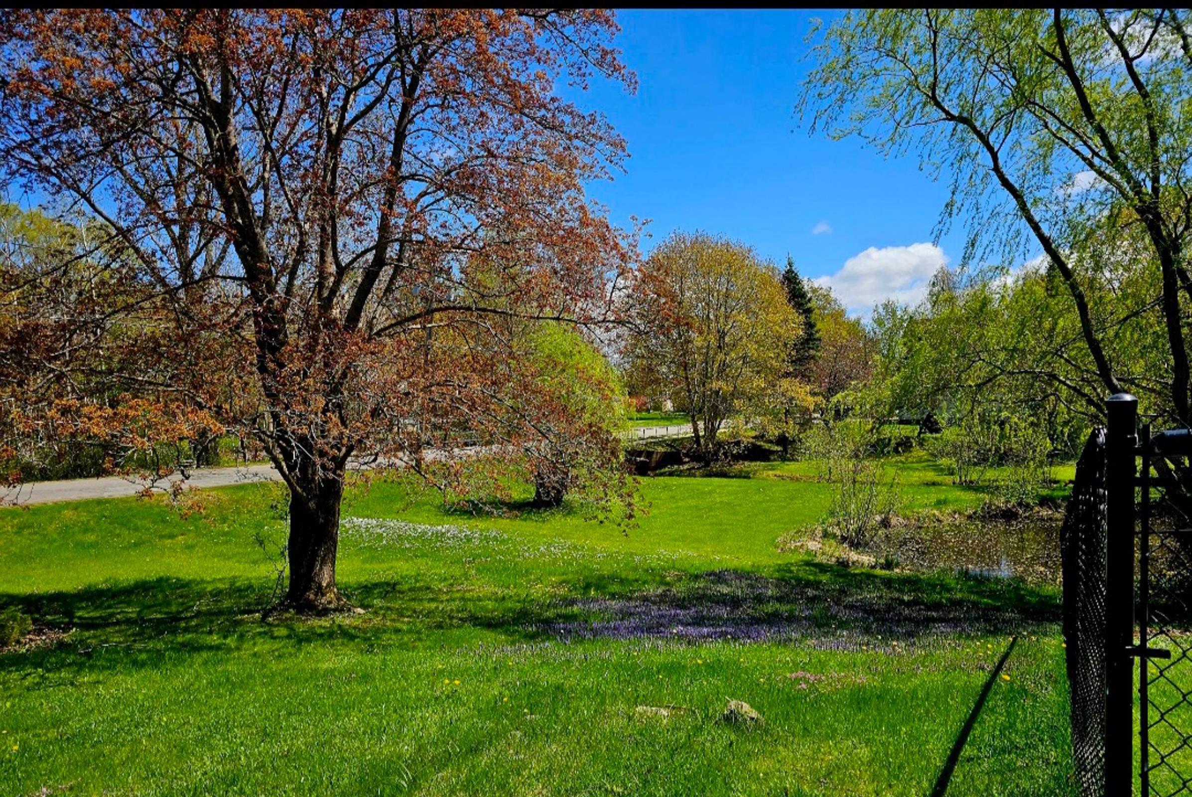 $379,900.00: 3 Reagh Avenue, Middleton