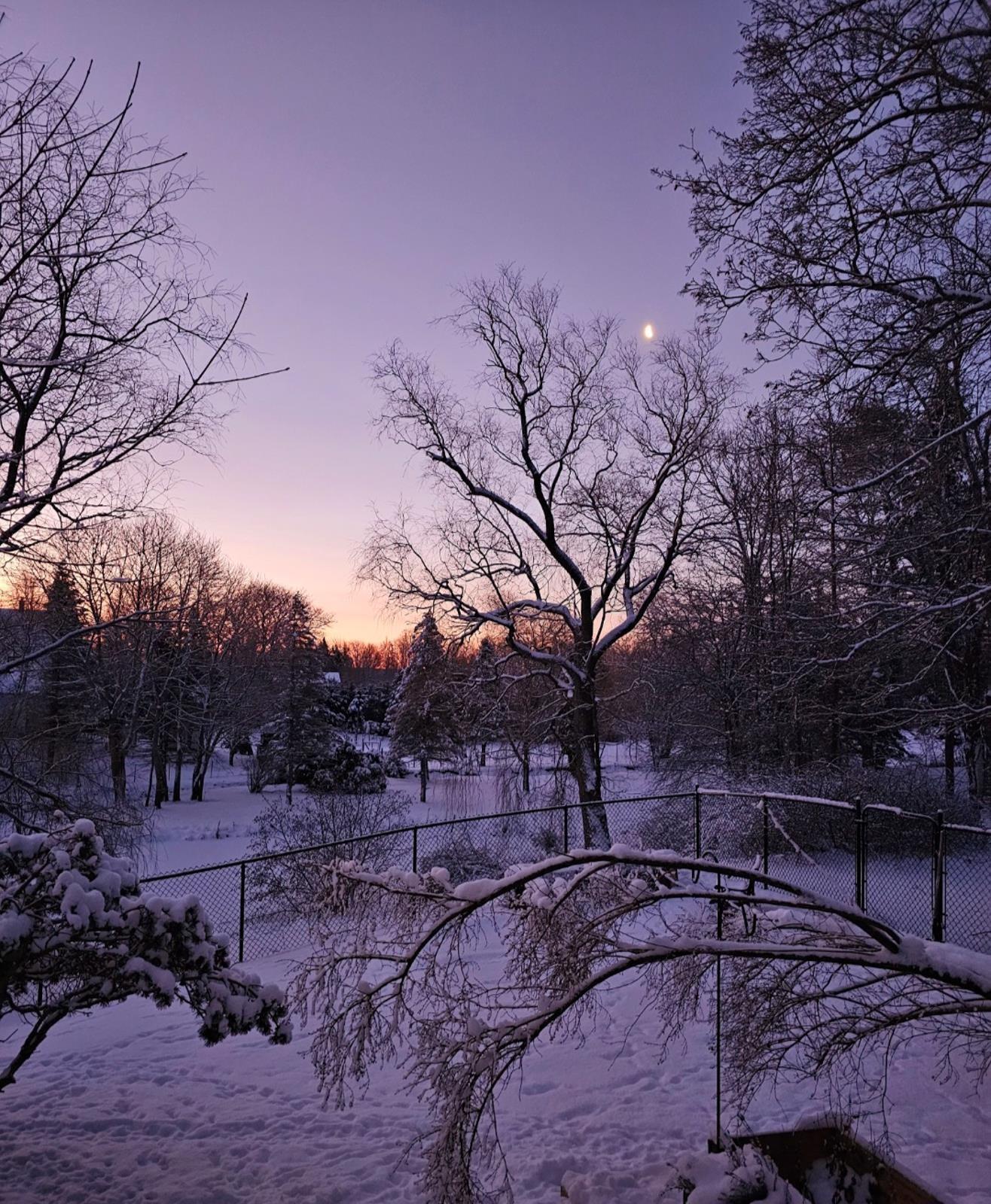 $379,900.00: 3 Reagh Avenue, Middleton