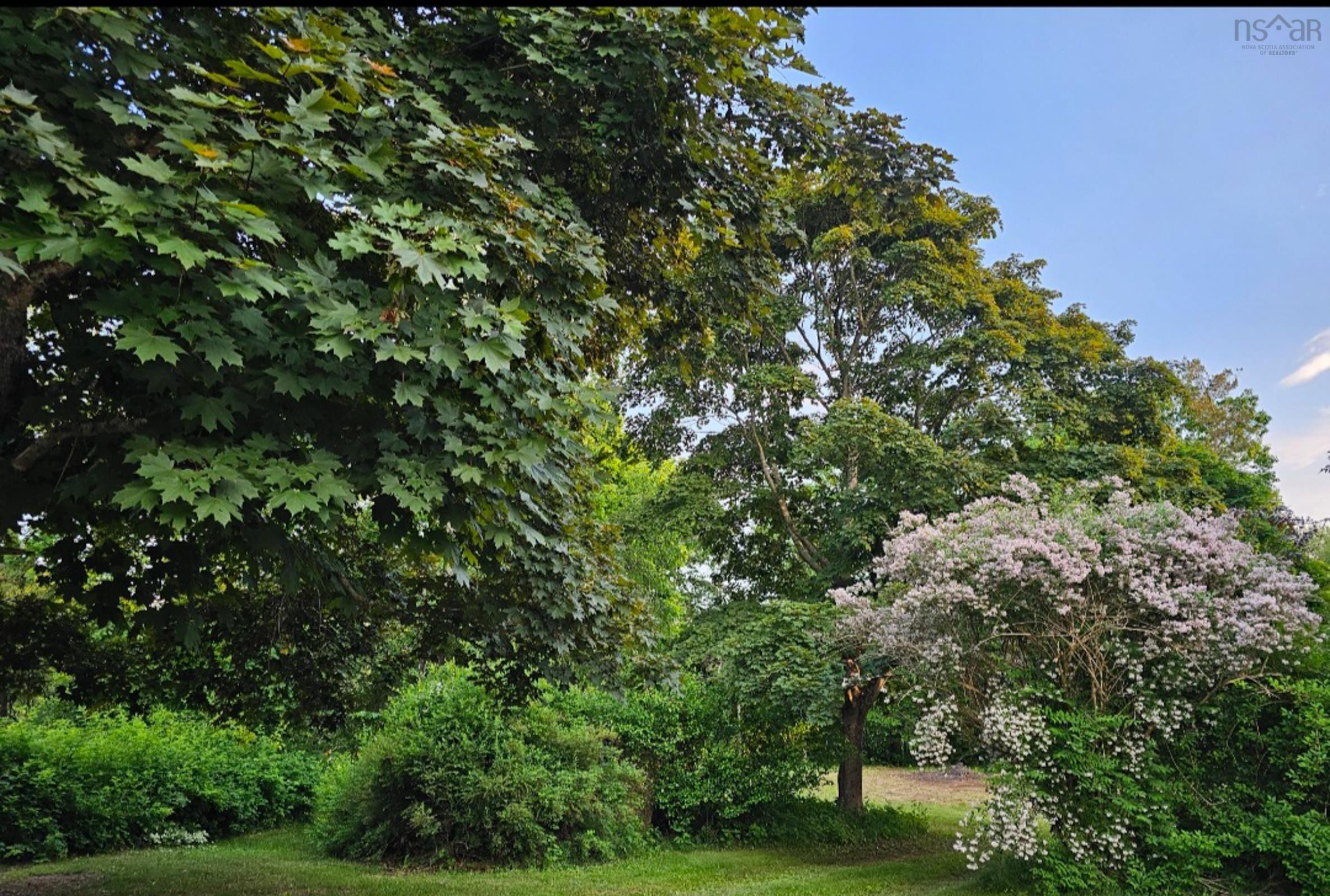 $379,900.00: 3 Reagh Avenue, Middleton