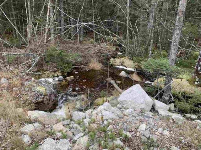 $105,000.00: 16308 Hwy 316, Country Harbour Mines