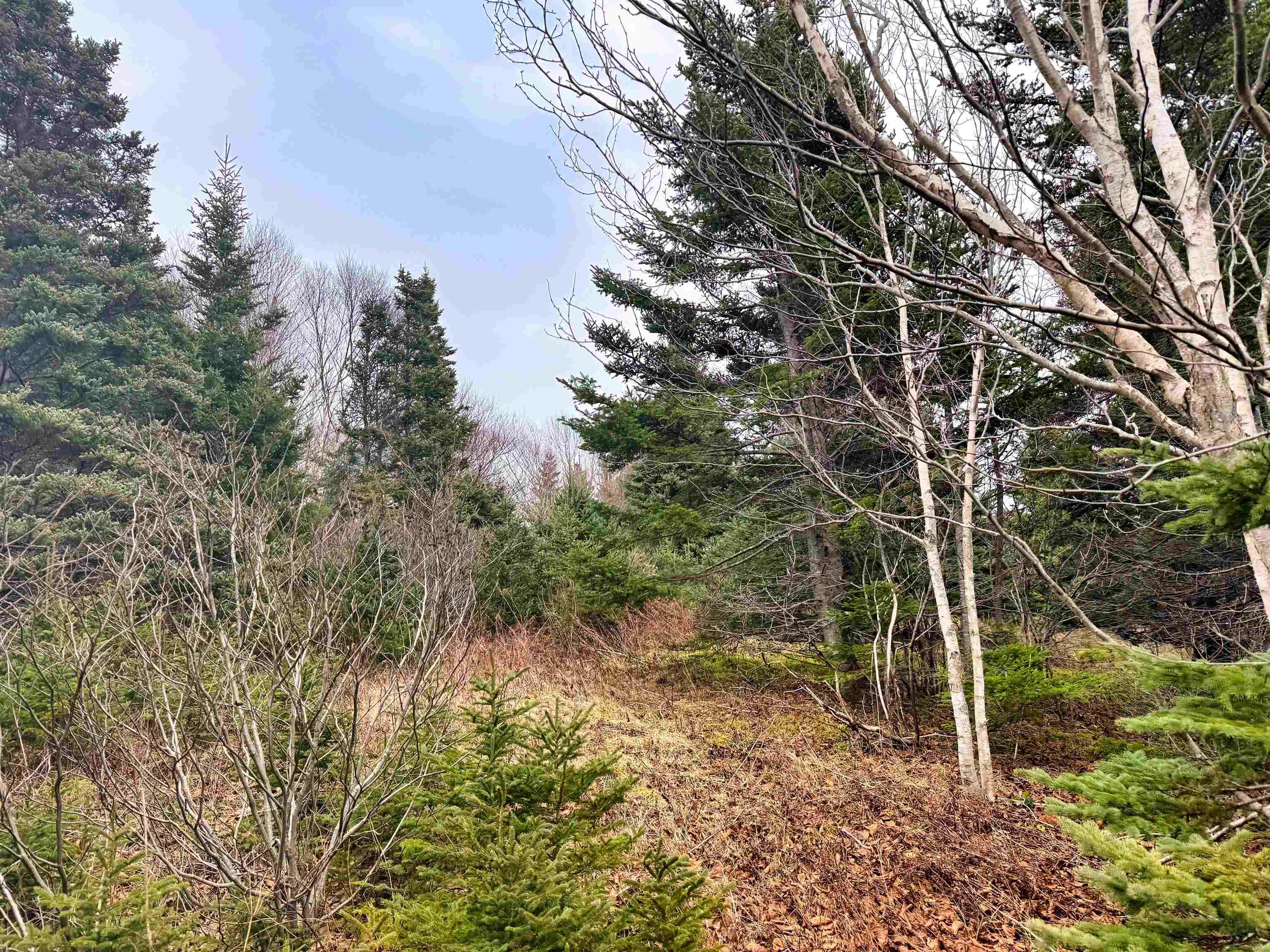 $159,000.00: Lot 25-1 Corbetts Cove Road, Corbetts Cove