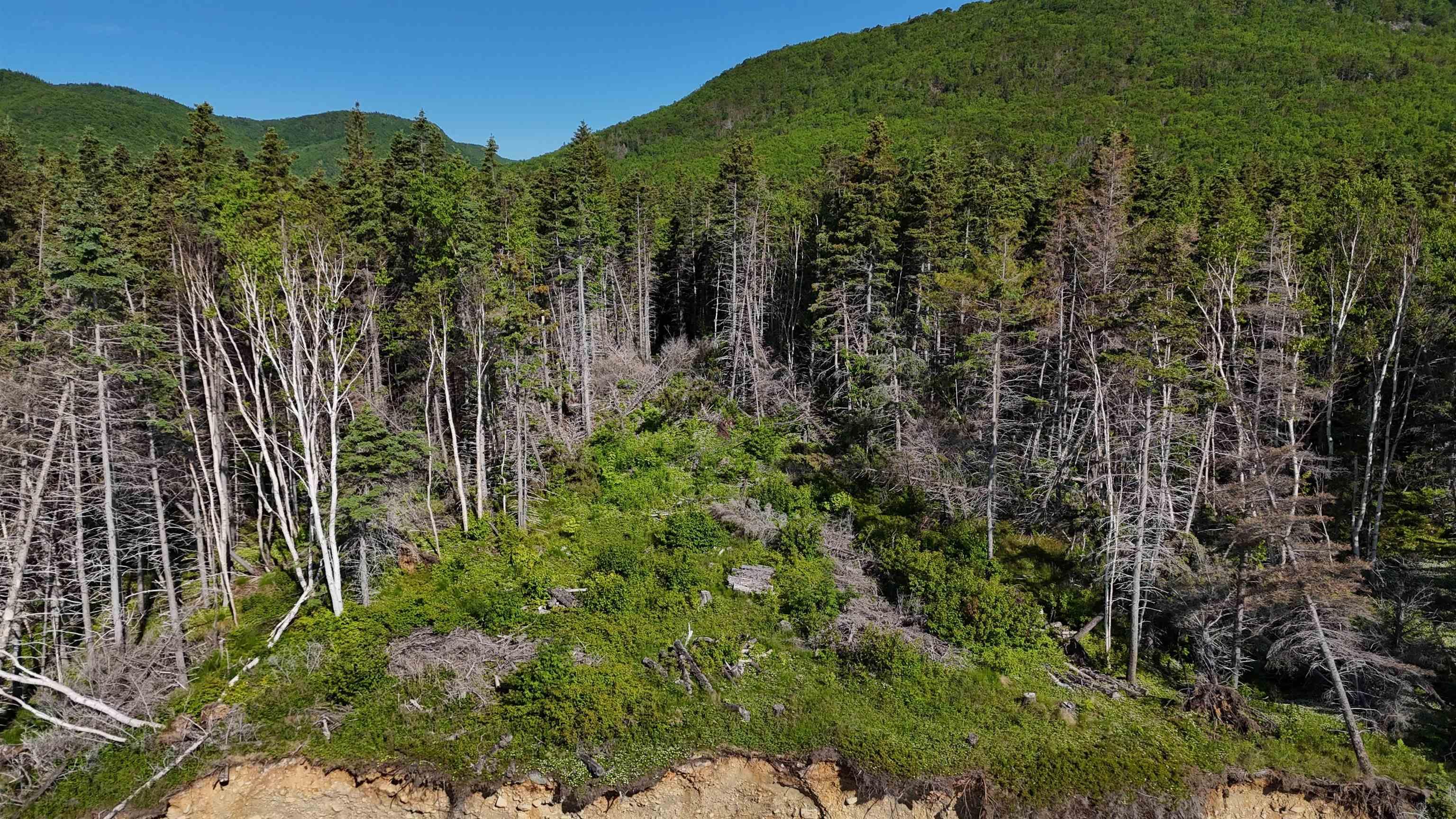 $165,000.00: Cabot Trail, Wreck Cove