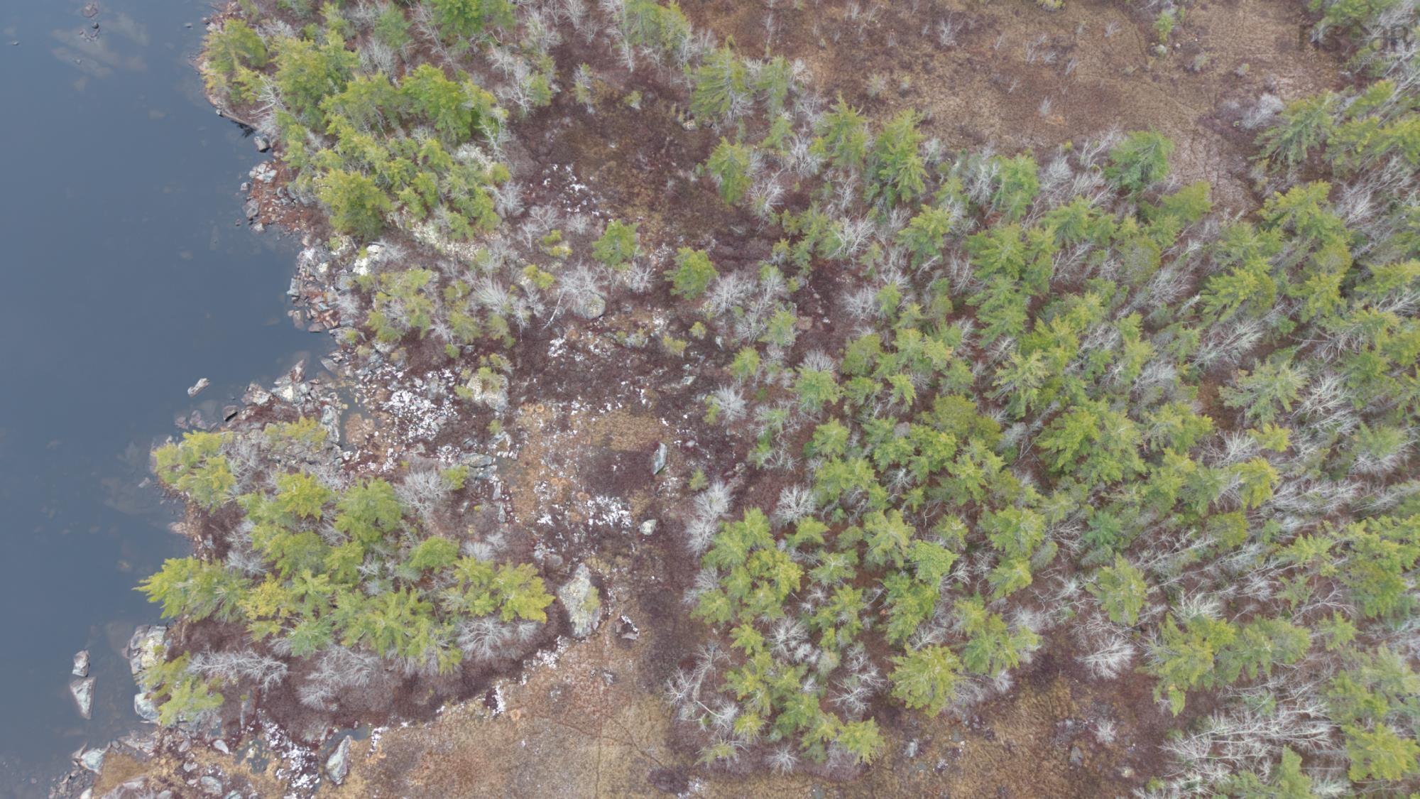 $130,000.00: Lot 8 Harbour Acres Road, Molega