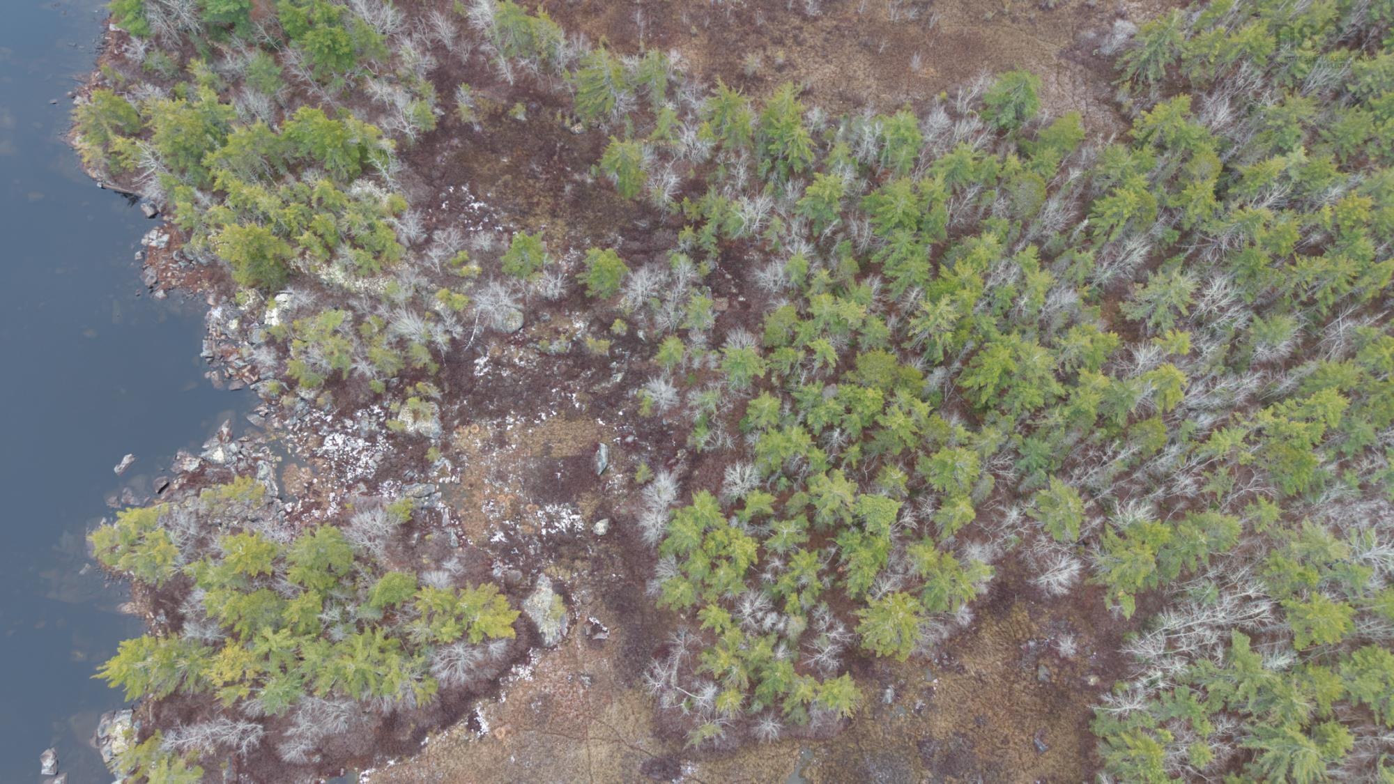 $130,000.00: Lot 8 Harbour Acres Road, Molega