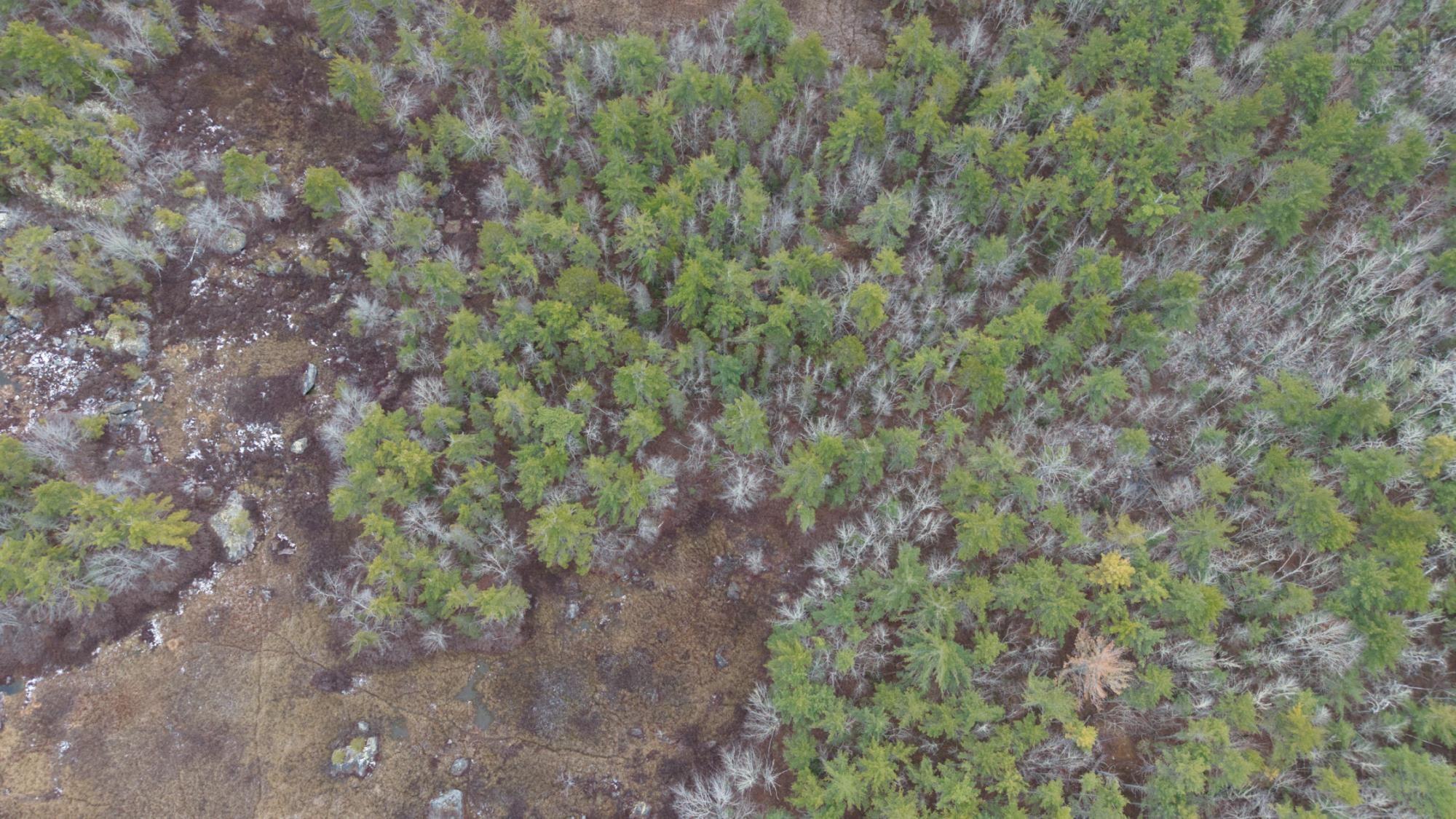 $130,000.00: Lot 8 Harbour Acres Road, Molega