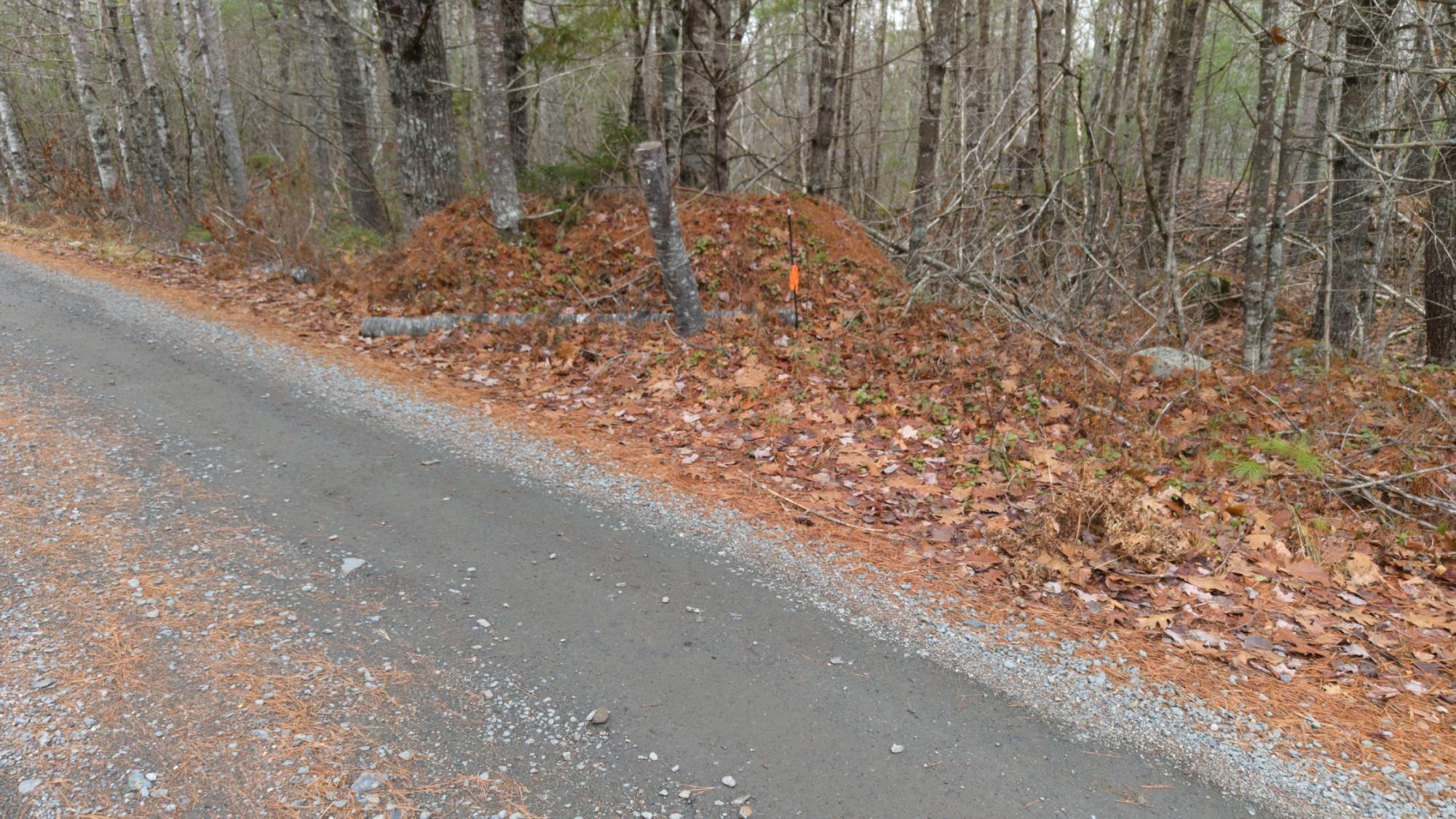 $130,000.00: Lot 8 Harbour Acres Road, Molega