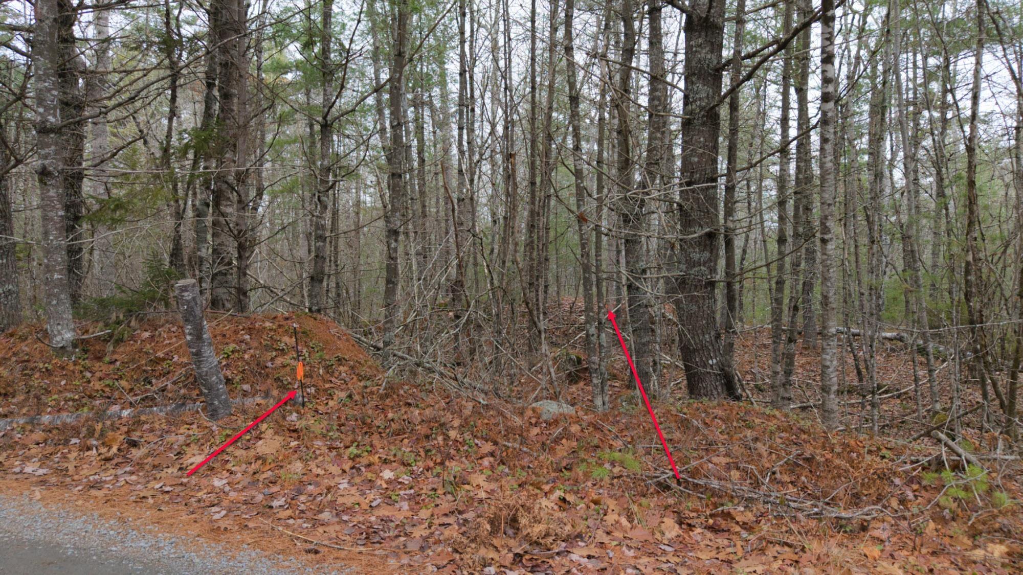 $130,000.00: Lot 8 Harbour Acres Road, Molega