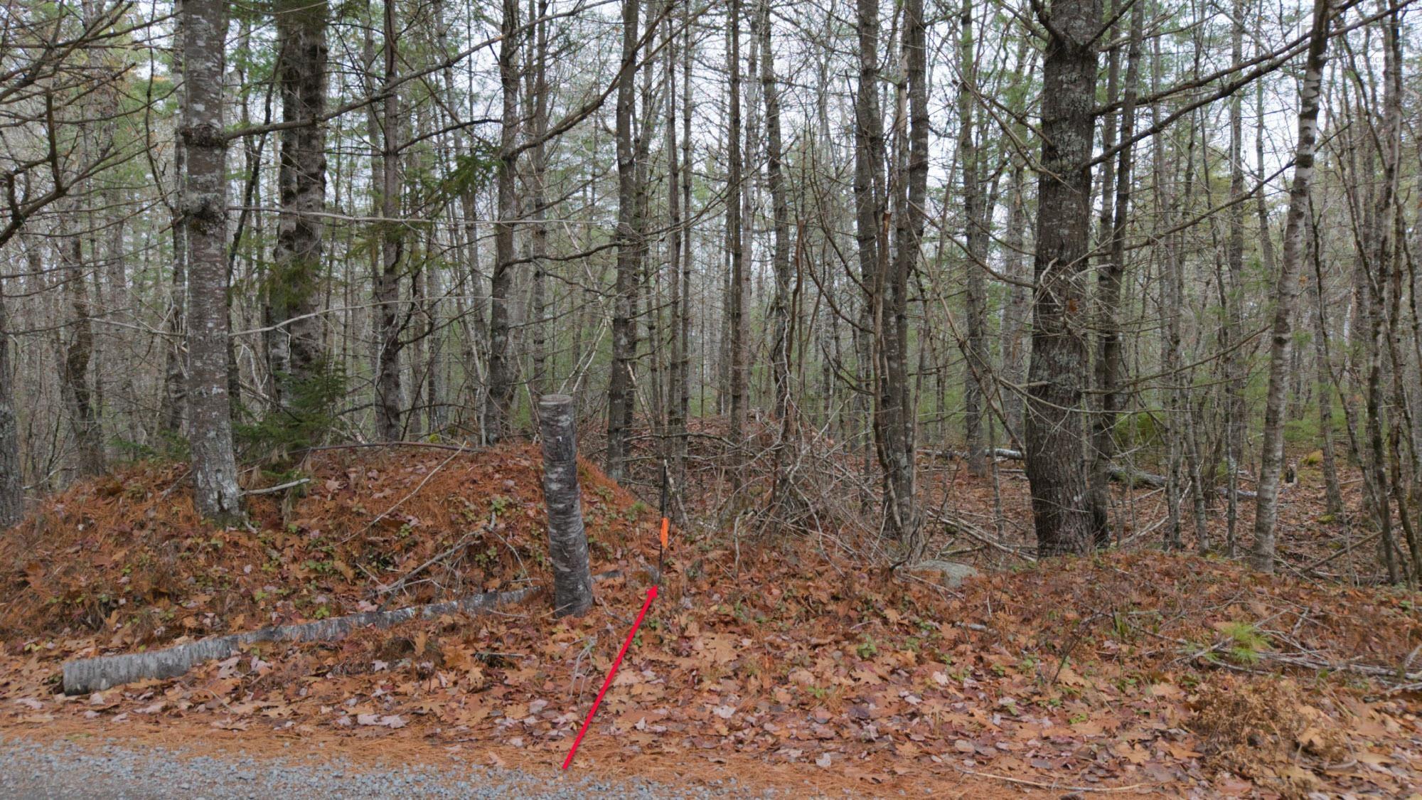 $130,000.00: Lot 8 Harbour Acres Road, Molega