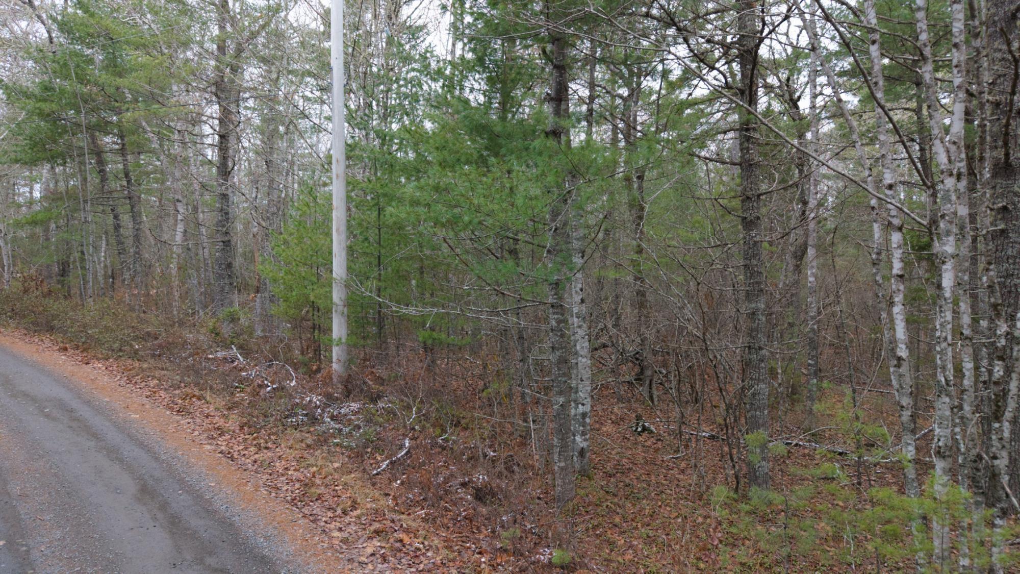 $130,000.00: Lot 8 Harbour Acres Road, Molega