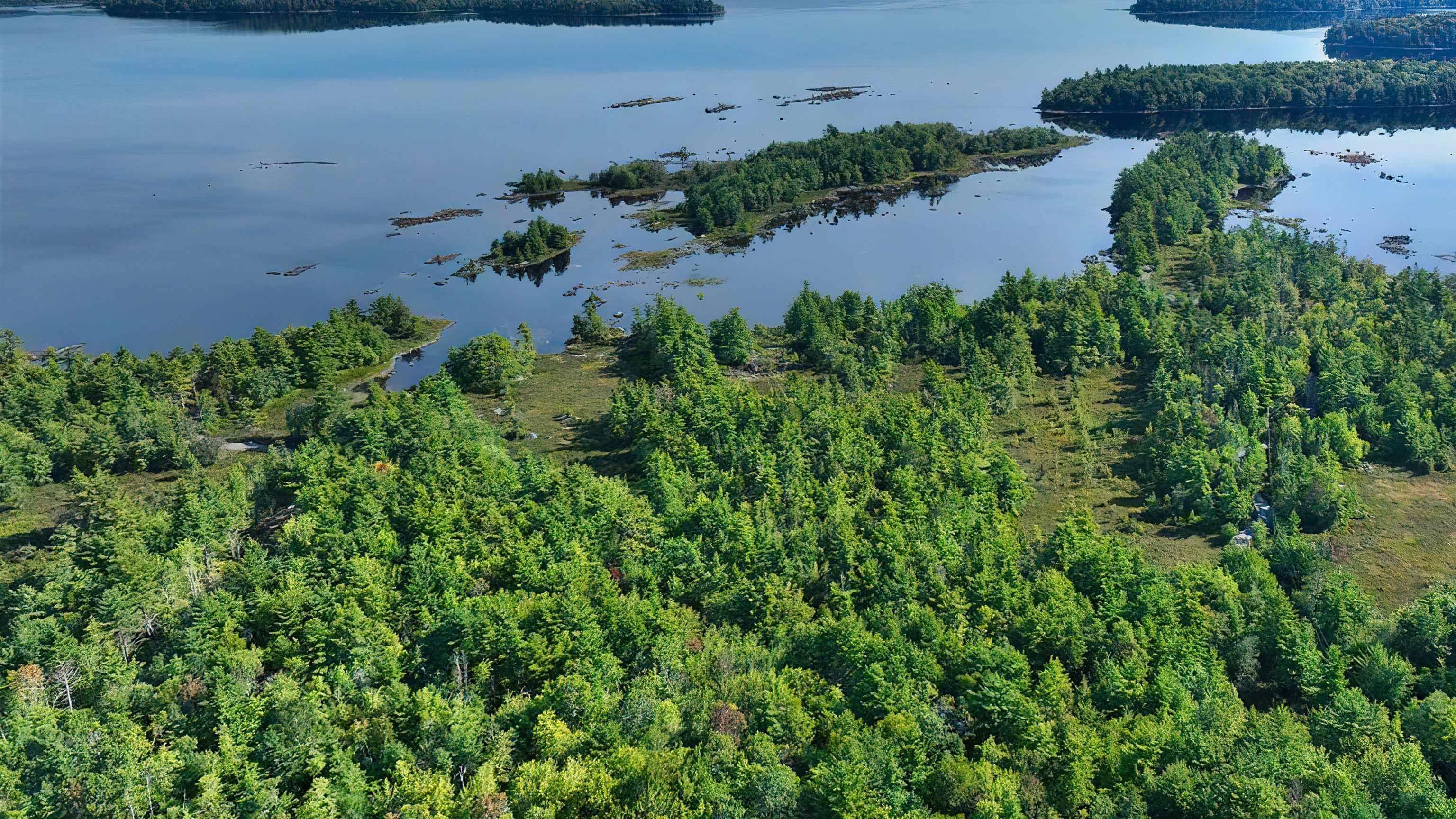 $130,000.00: Lot 8 Harbour Acres Road, Molega