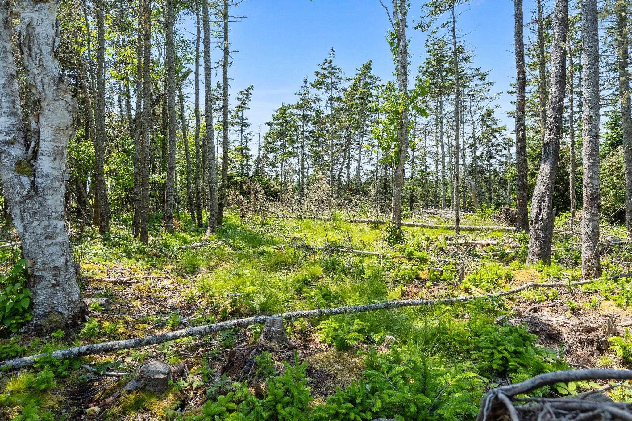 $299,900.00: Lot Highway 207, Seaforth