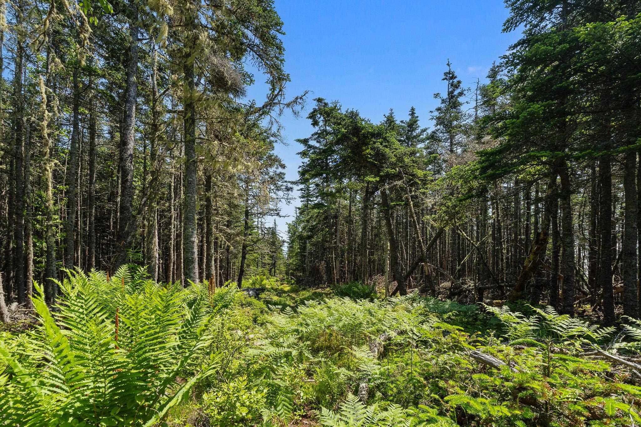 $299,900.00: Lot Highway 207, Seaforth