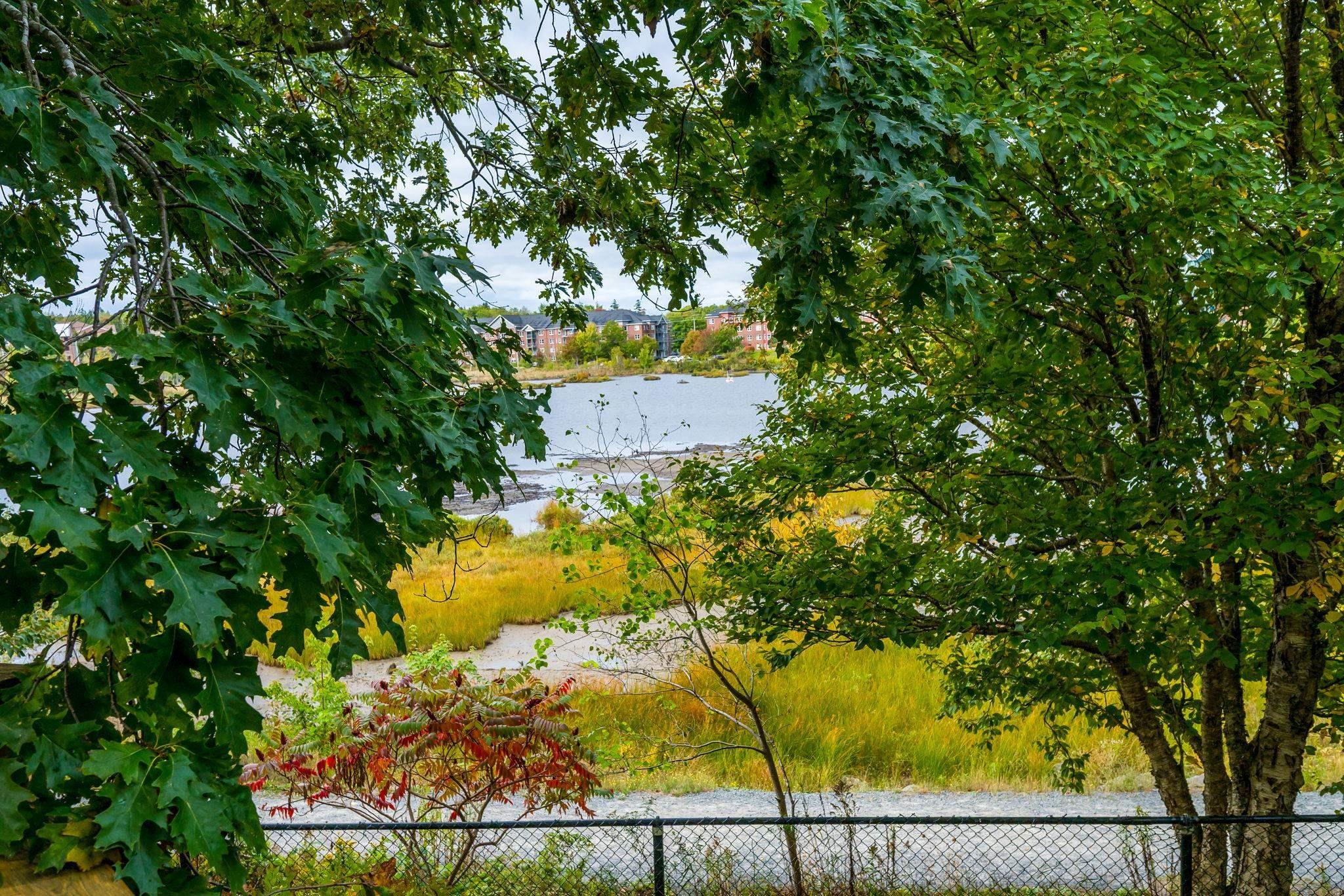 83 Red Fern Terrace, Halifax, NS (MLS 202601295)