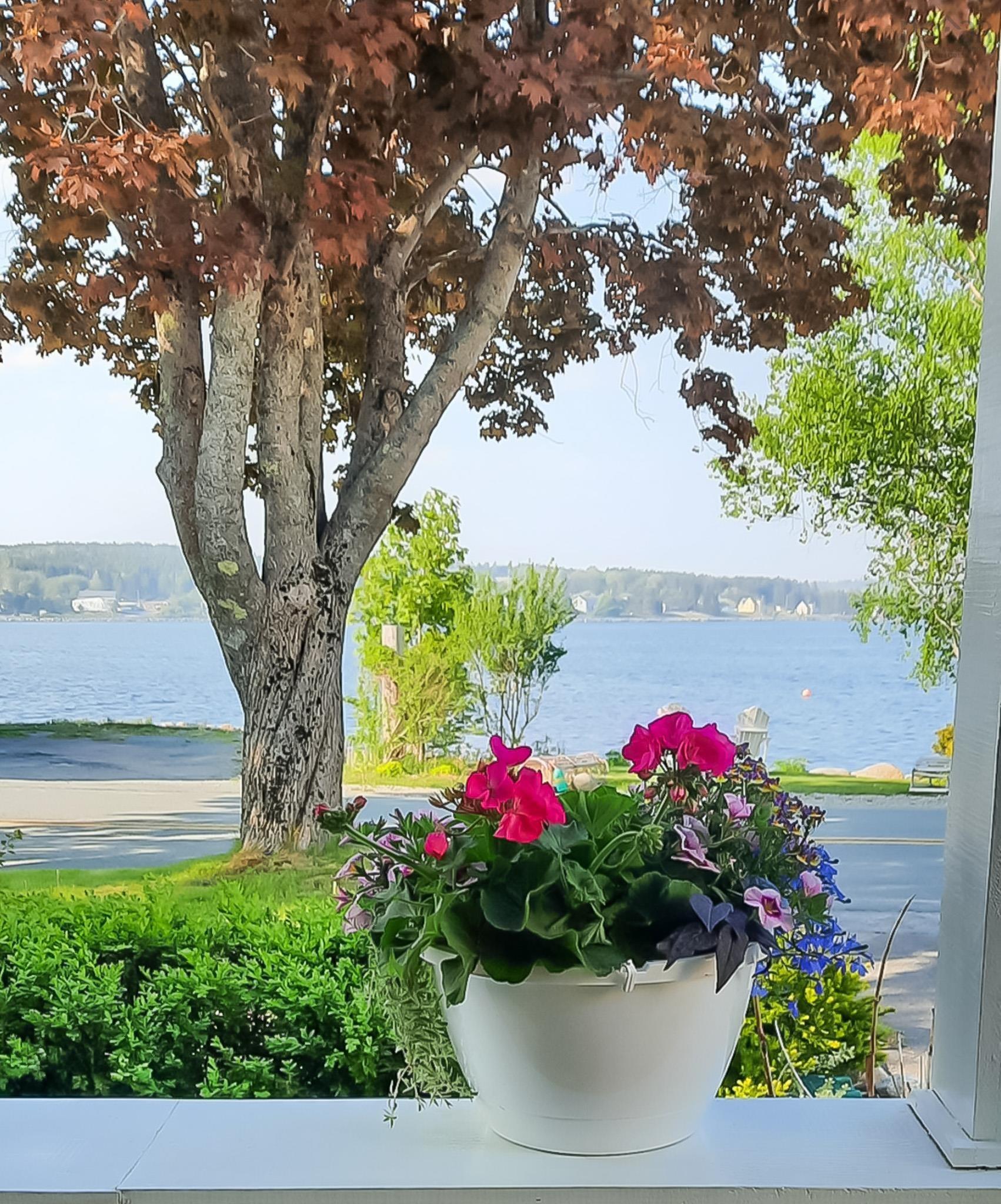 $619,000.00: 3380 Highway 331, Lahave