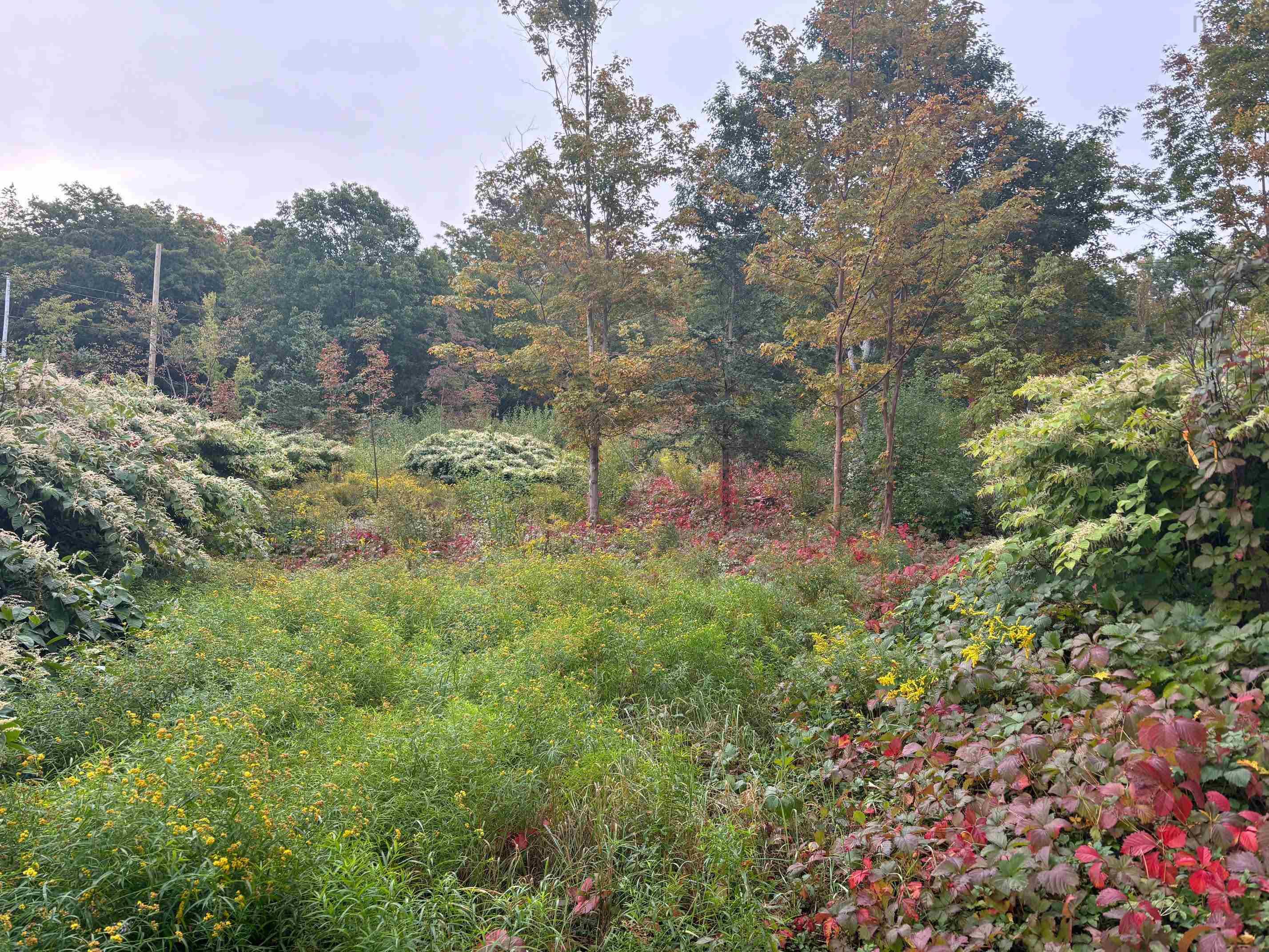 $64,900.00: Lot Sunset Drive, Smiths Cove