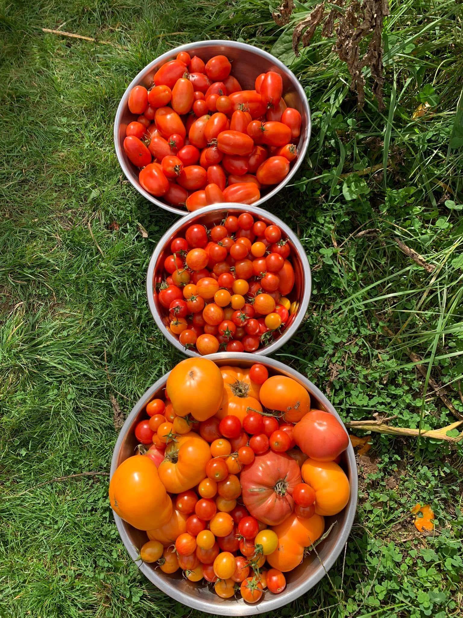 $525,000.00: 21 Long Hill Road, Mahone Bay