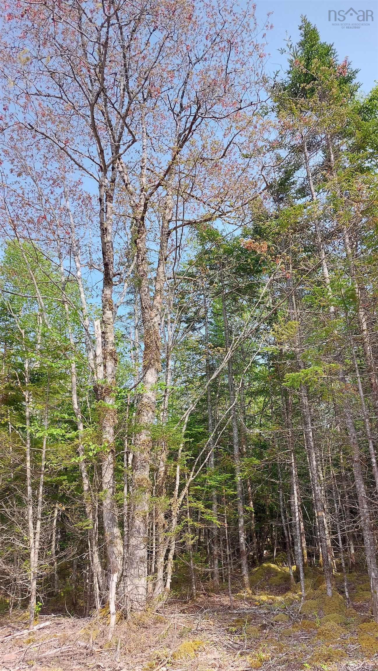 $39,800.00: Lot 18 Highway 4, False Bay