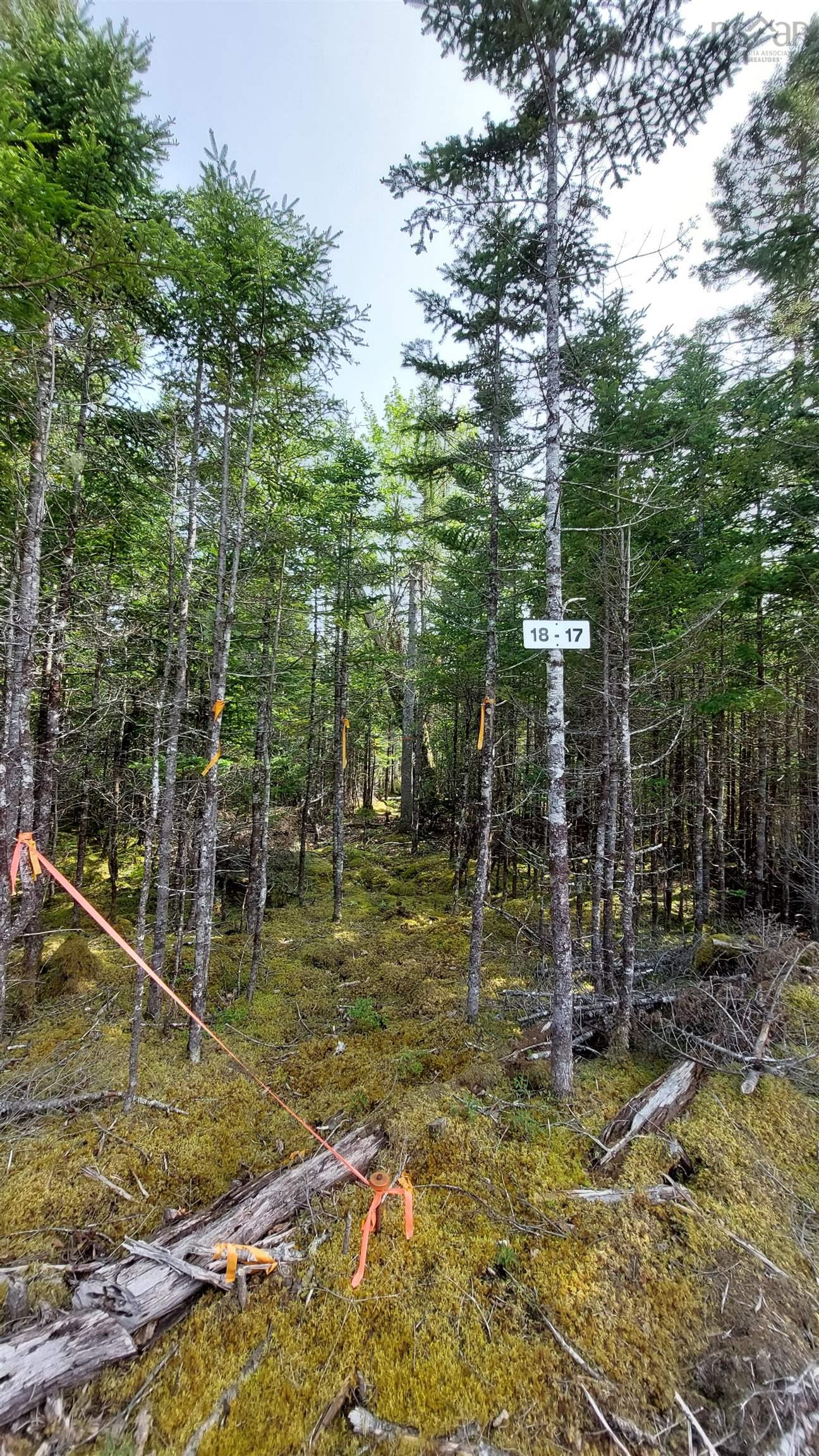 $39,800.00: Lot 18 Highway 4, False Bay