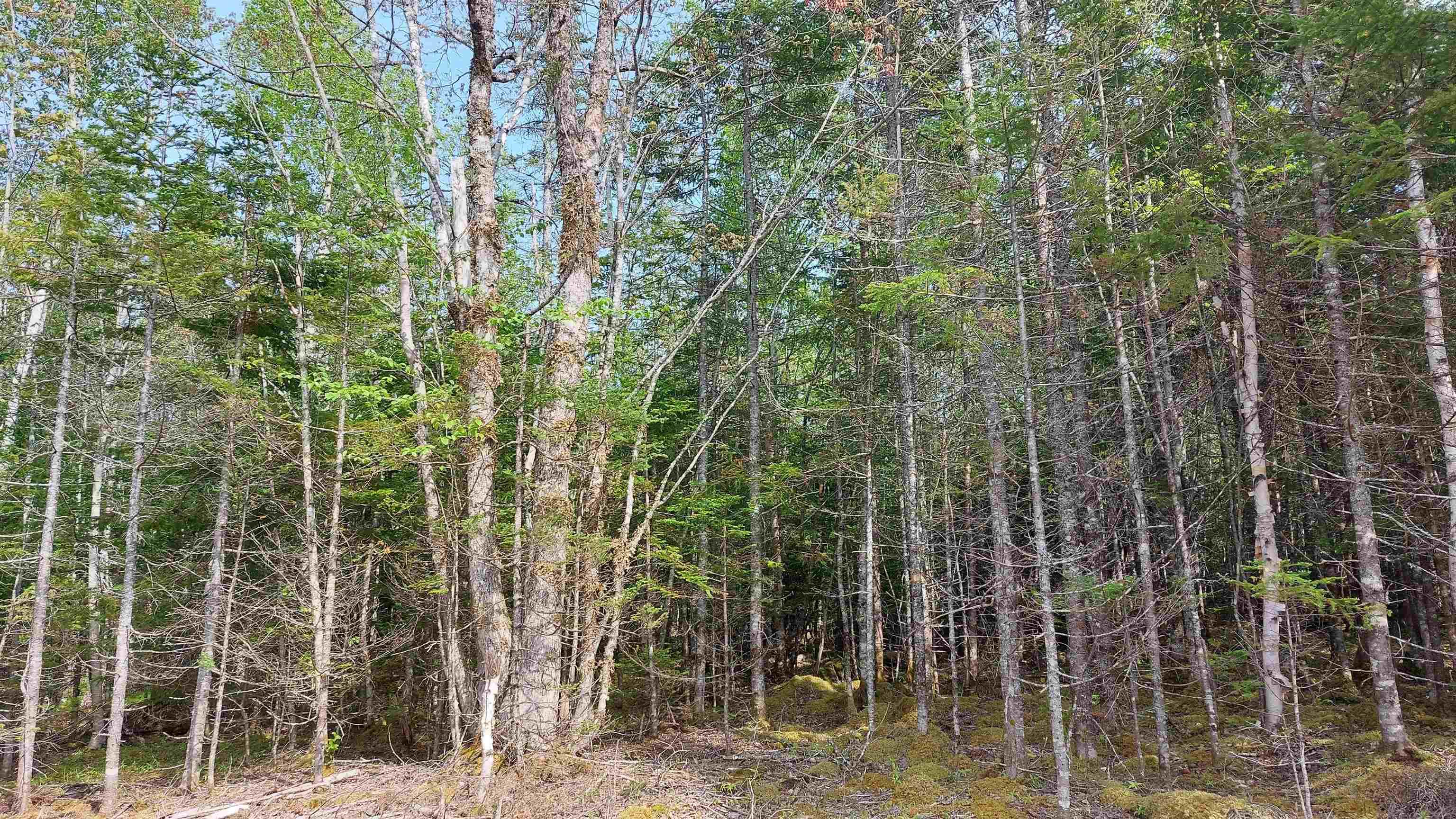 $39,800.00: Lot 18 Highway 4, False Bay