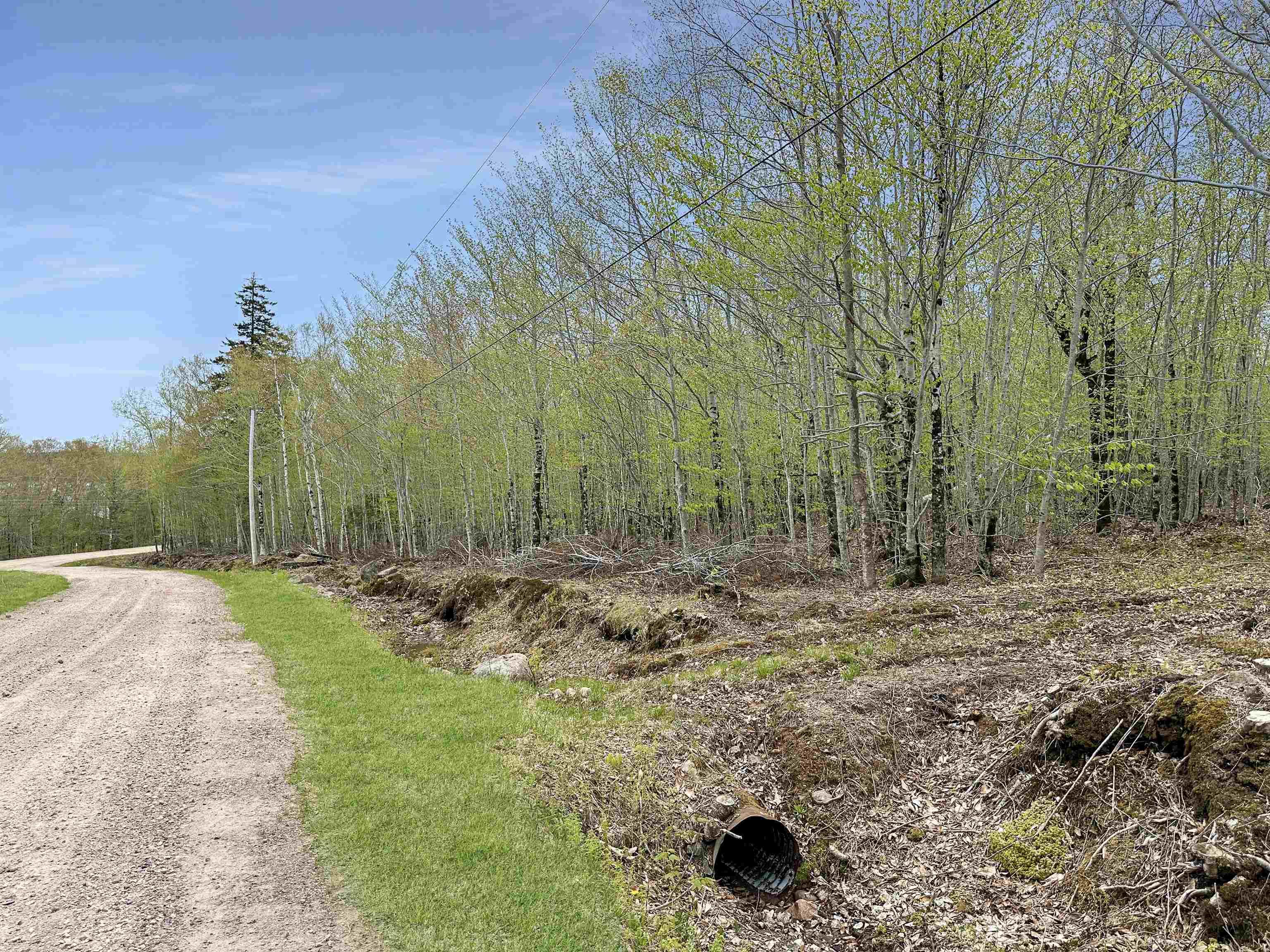 14-C Hillcrest Drive, Dalhousie, NS (MLS® 202601370) | Dalhousie Real Estate | RE/MAX Halifax